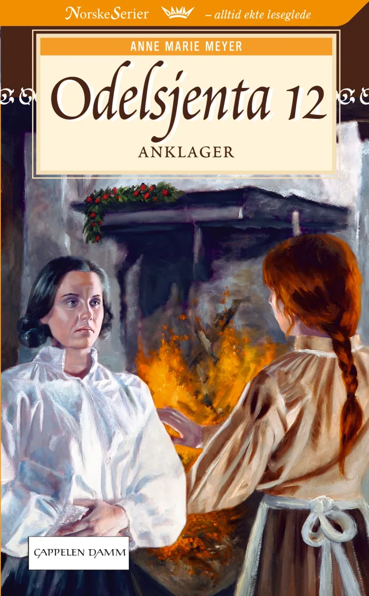 Omslag Anklager av Anne Marie Løvlie Meyer (Ebok)
