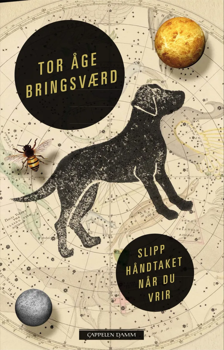 Omslag Slipp håndtaket når du vrir av Tor Åge Bringsværd (Ebok)