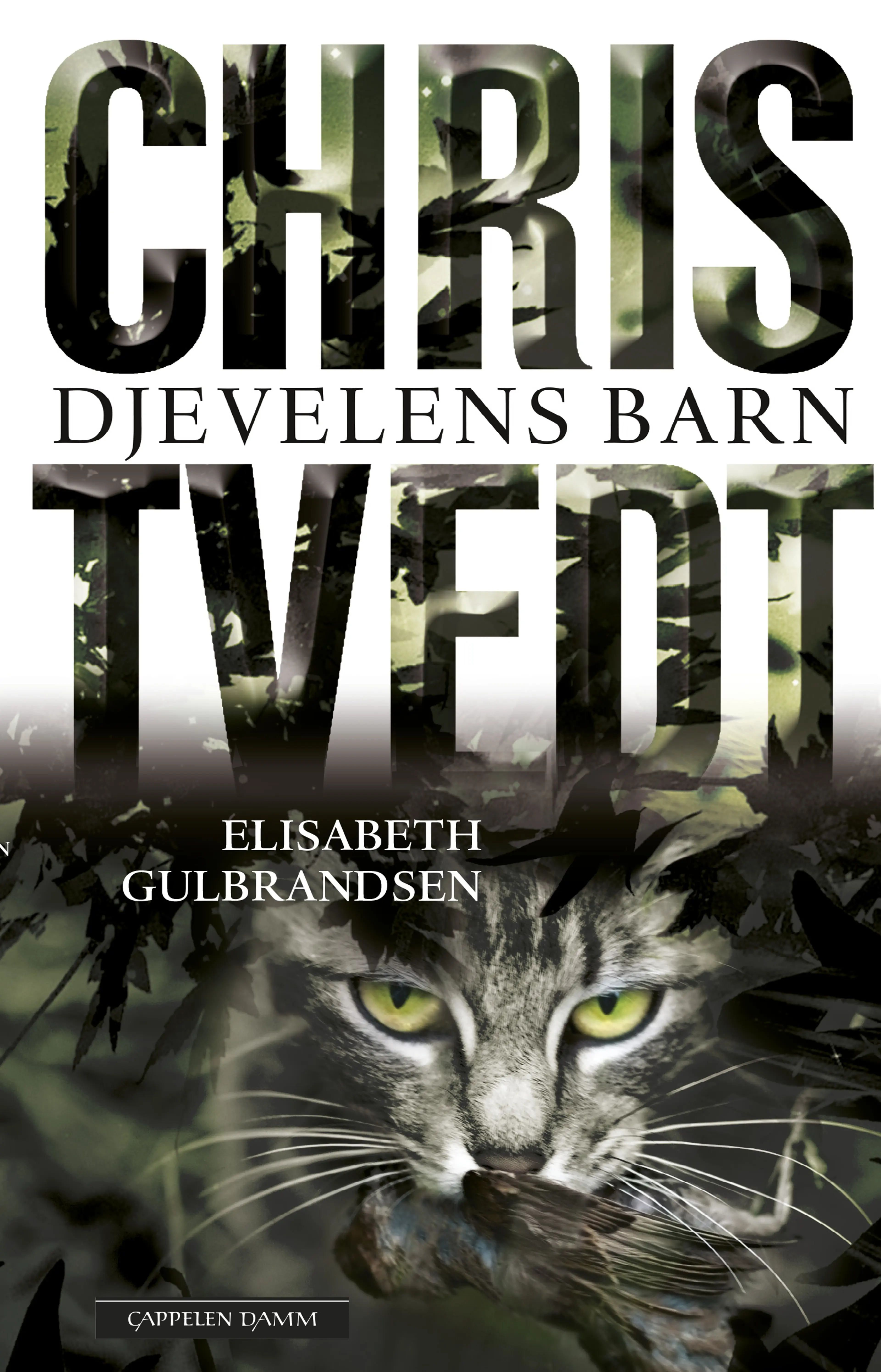 Omslag Djevelens barn av Chris Tvedt og Elisabeth Gulbrandsen (Innbundet)