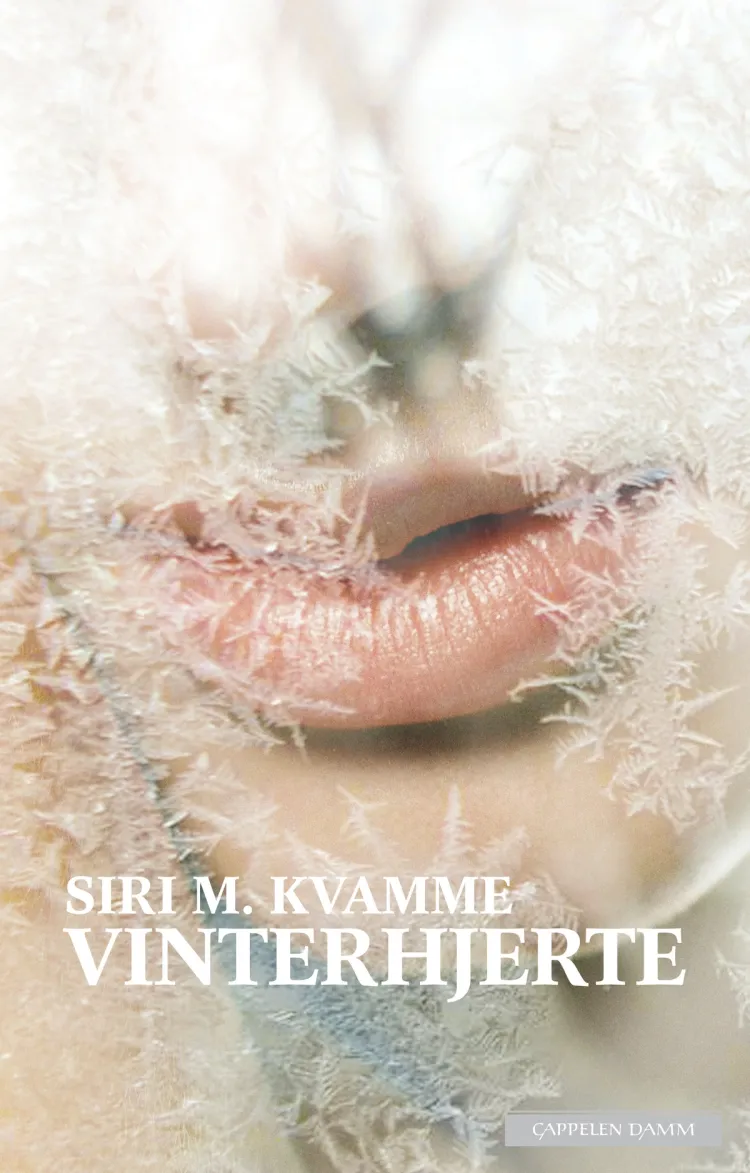 Omslag Vinterhjerte av Siri M. Kvamme (Innbundet)