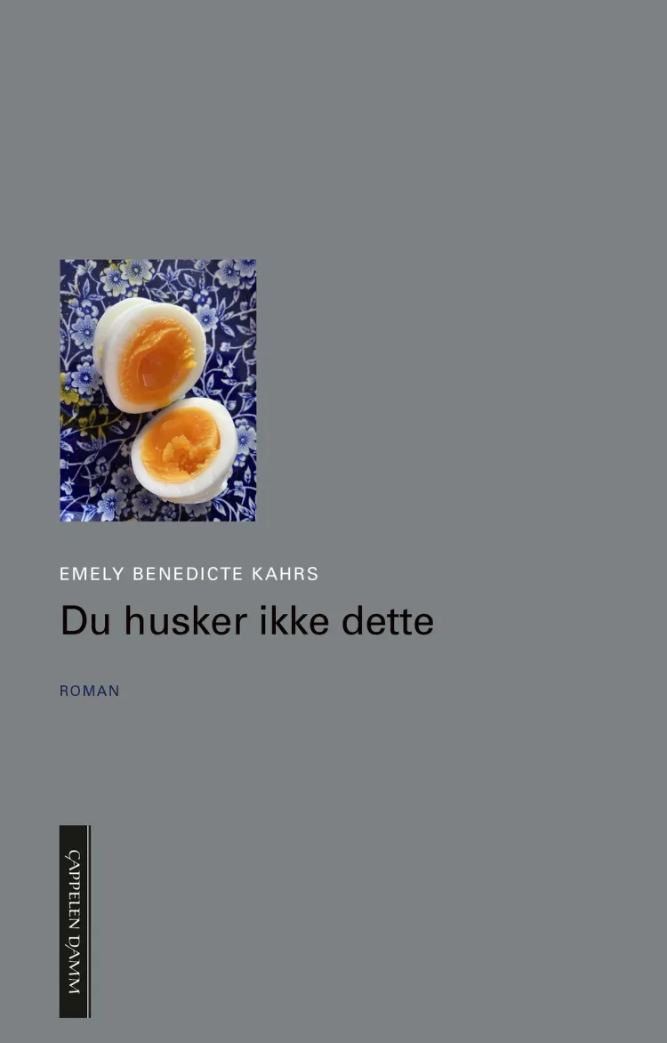 Omslag Du husker ikke dette av Emely Benedicte Kahrs (Innbundet)