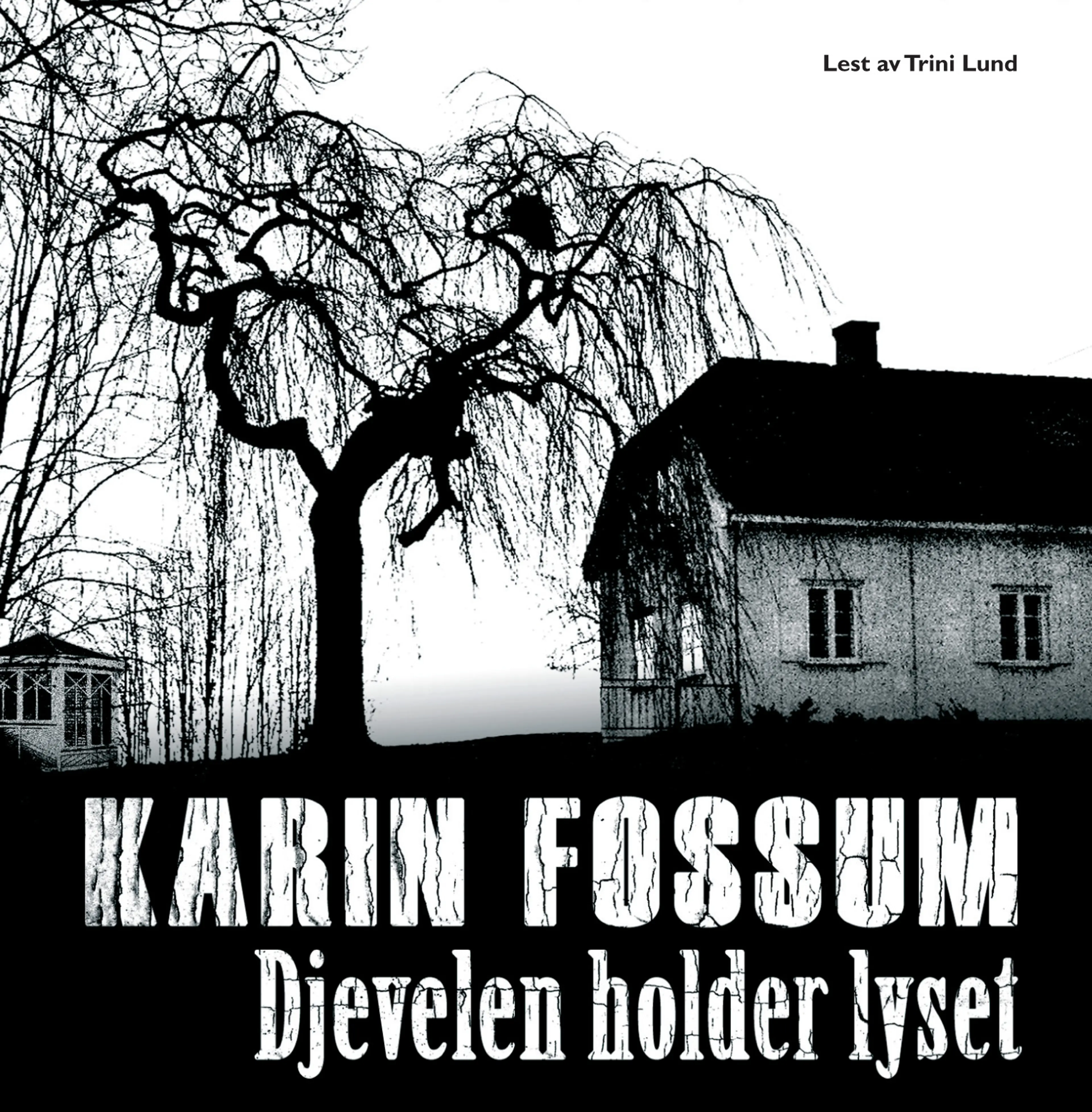 Omslag Djevelen holder lyset av Karin Fossum (CD)