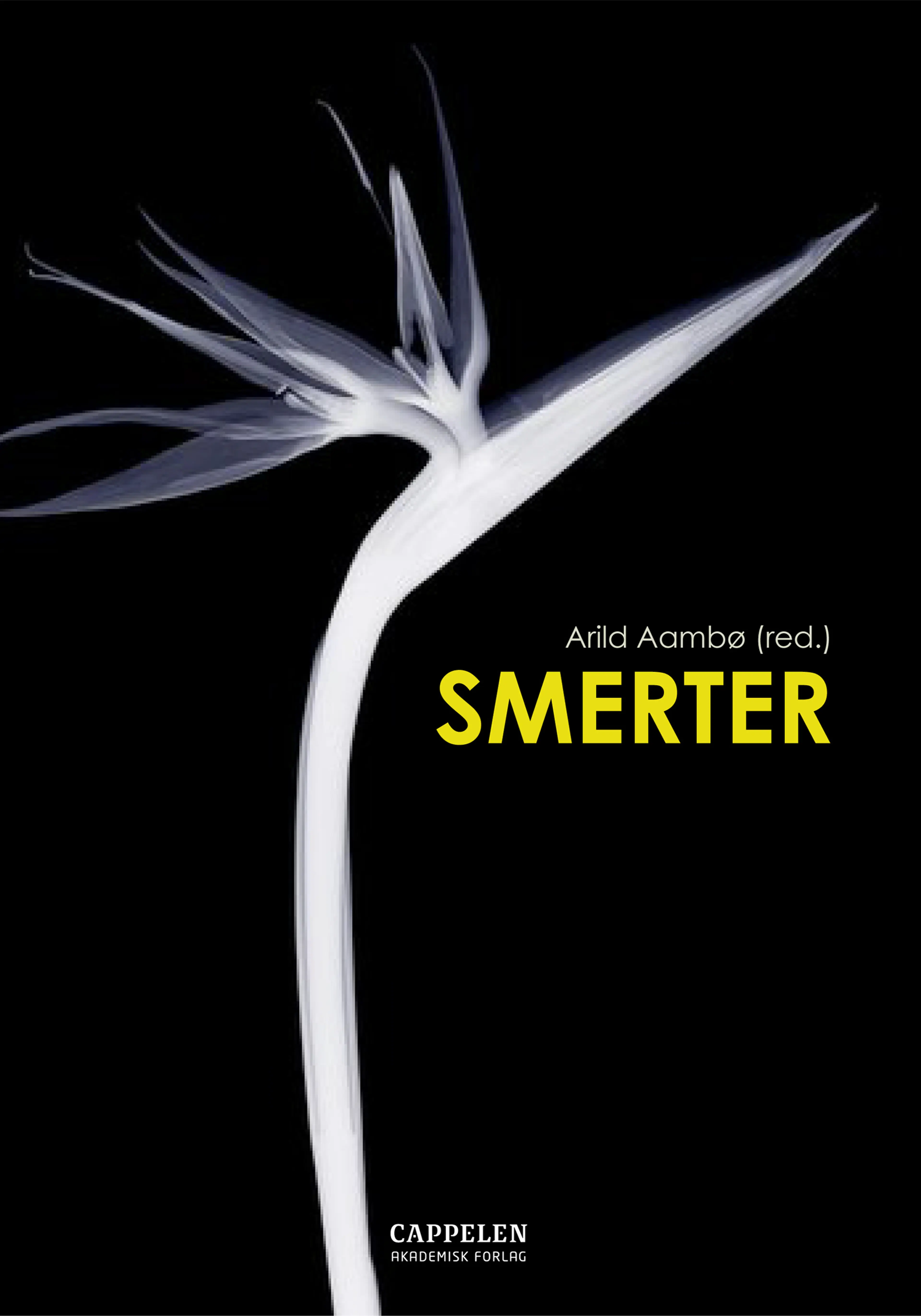 Omslag Smerter av Arild Aambø (red.) (Heftet)