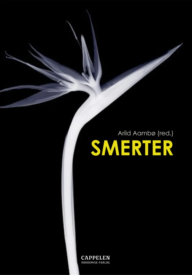 Omslag Smerter av Arild Aambø (red.) (Heftet)