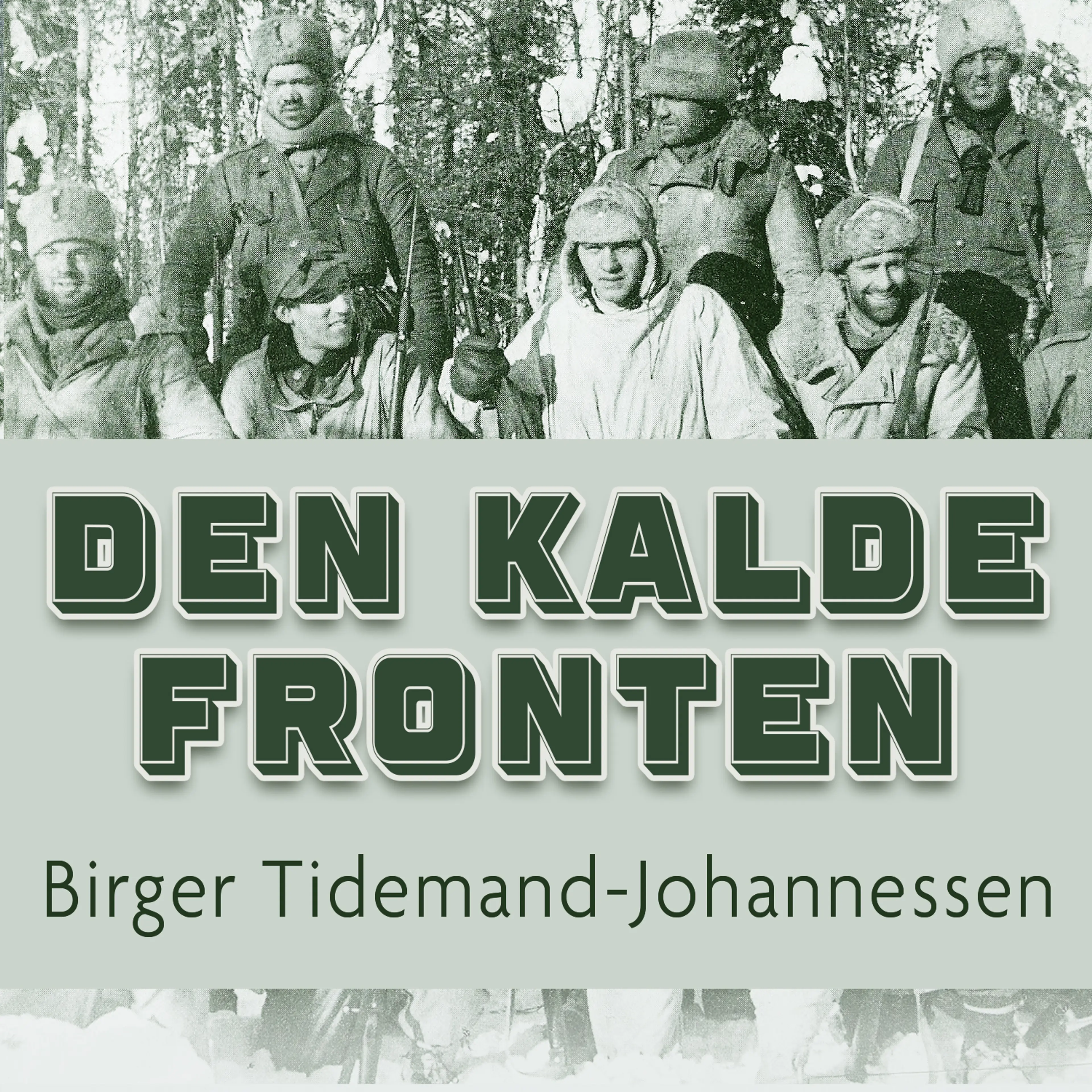 Omslag Den kalde fronten av Birger Tidemand-Johannessen (Lydbok)