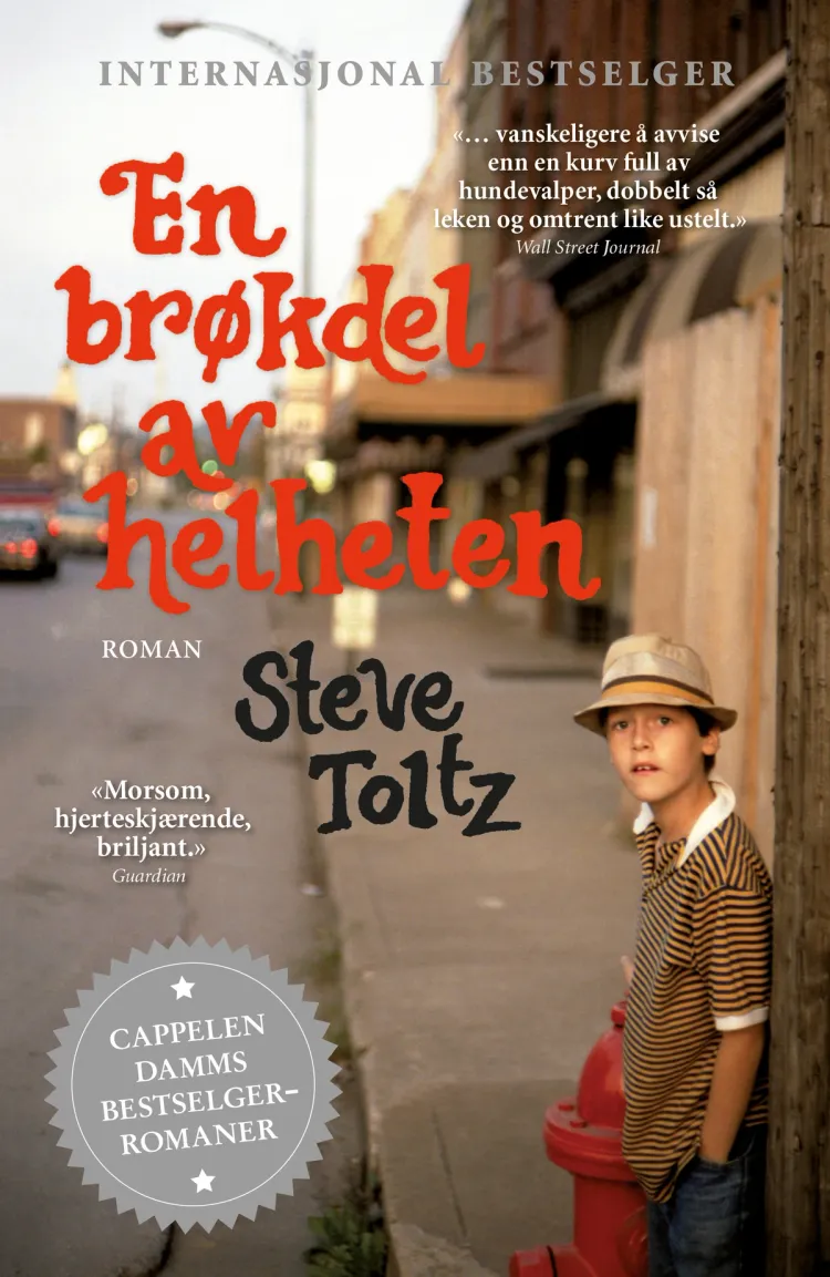 Omslag En brøkdel av helheten av Steve Toltz (Heftet)