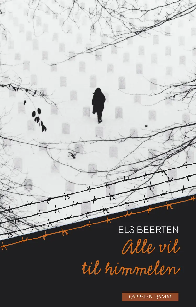 Omslag Alle vil til himmelen (ungdomsutgave) av Els Beerten (Innbundet)