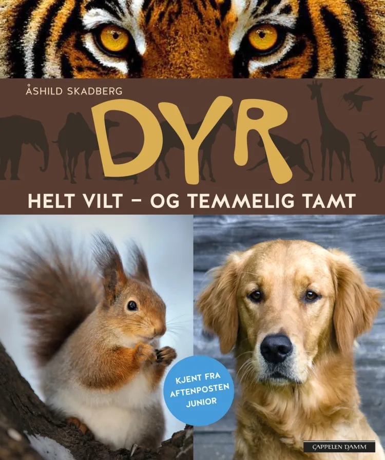 Omslag Dyr av Åshild Skadberg (Innbundet)