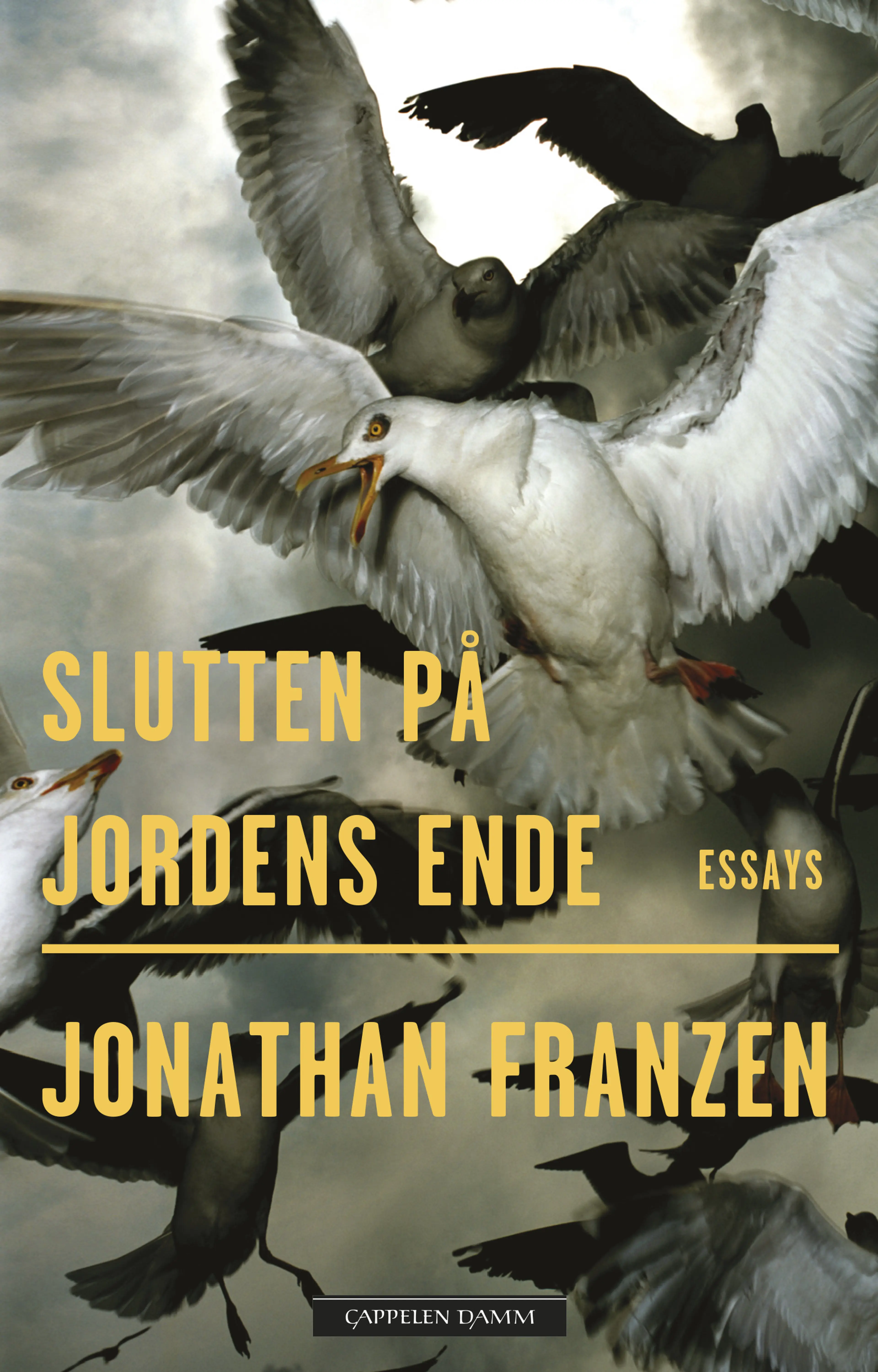 Omslag Slutten på jordens ende av Jonathan Franzen (Ebok)