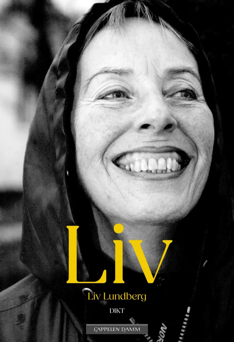 Omslag Liv av Liv Lundberg (Ebok)