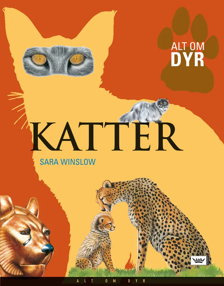 Omslag Katter av Sara Winslow (Innbundet)