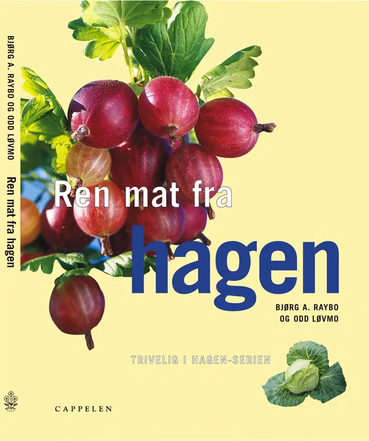 Omslag Ren mat fra hagen av Bjørg Raybo (Innbundet)