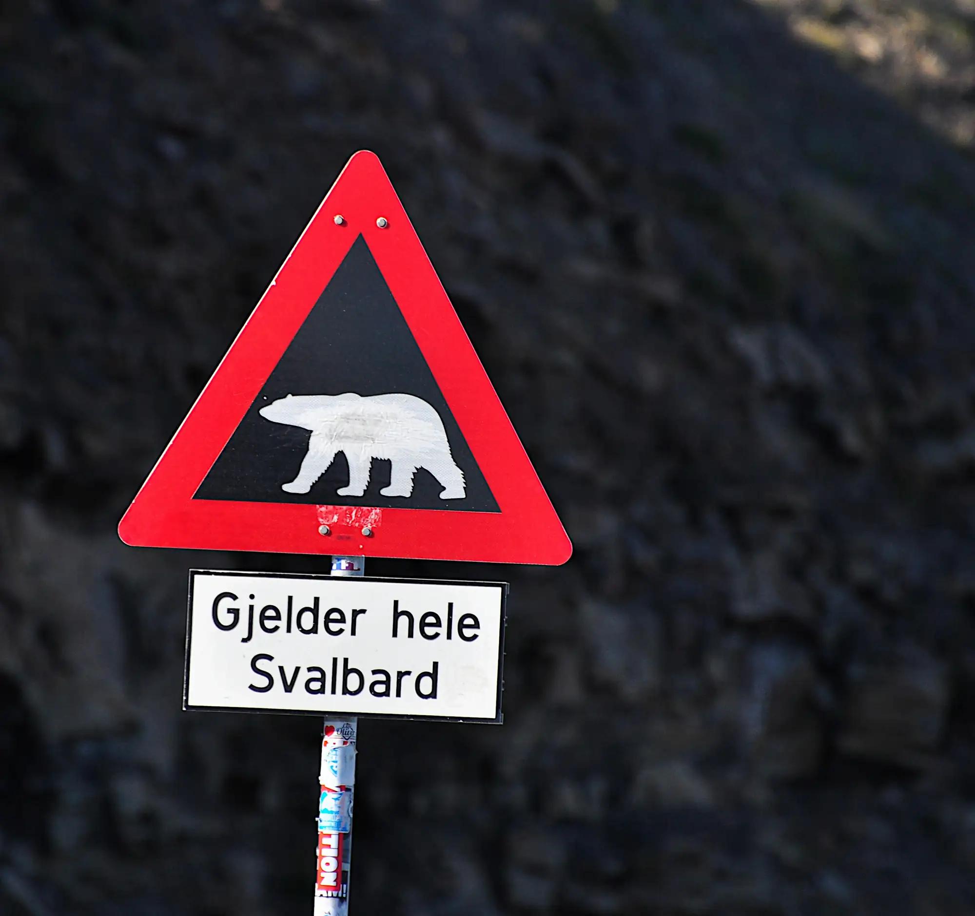 Varselskilt med isbjørn og teksten «Gjelder hele Svalbard»