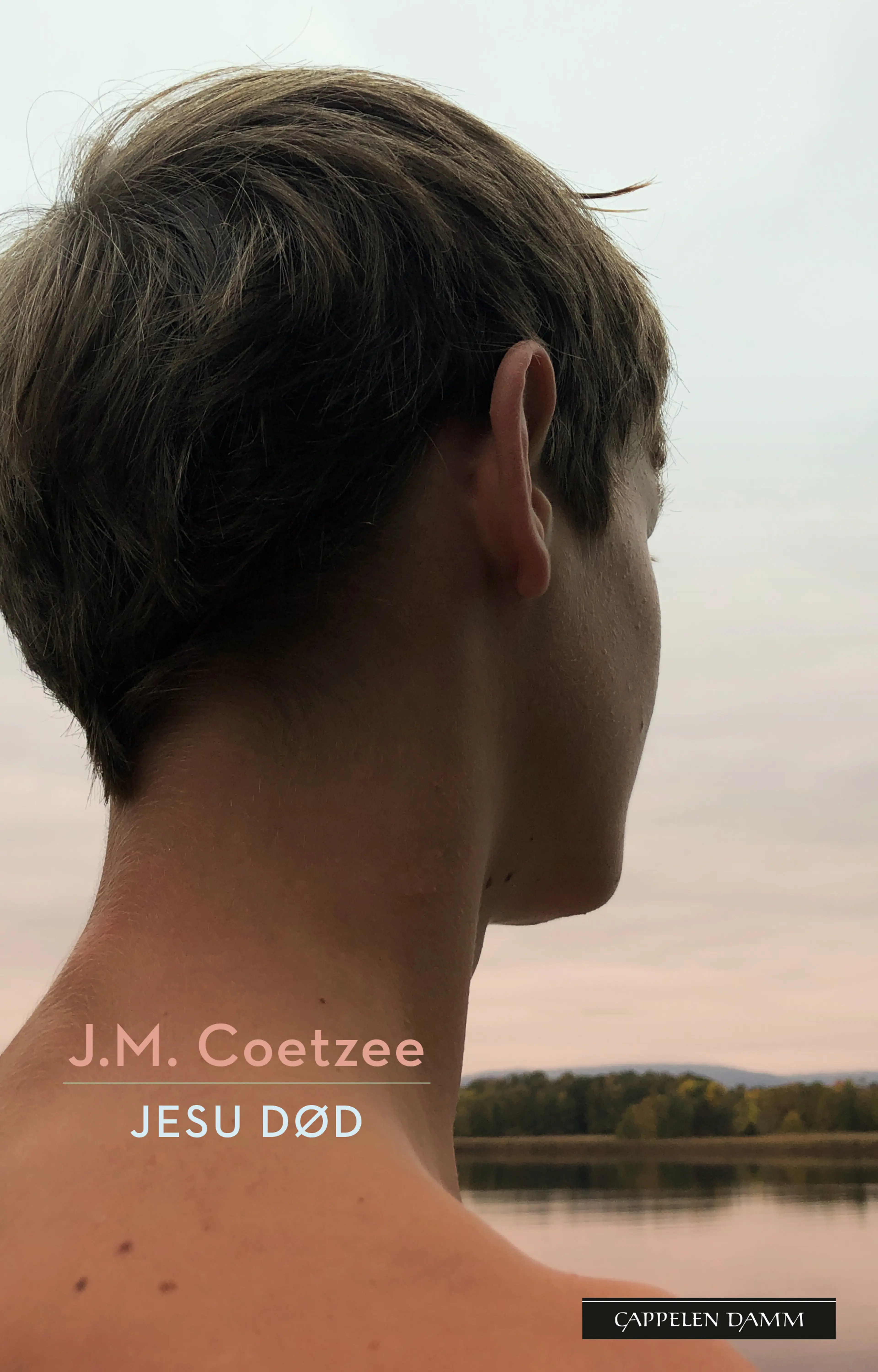 Omslag Jesu død av J.M. Coetzee (Ebok)