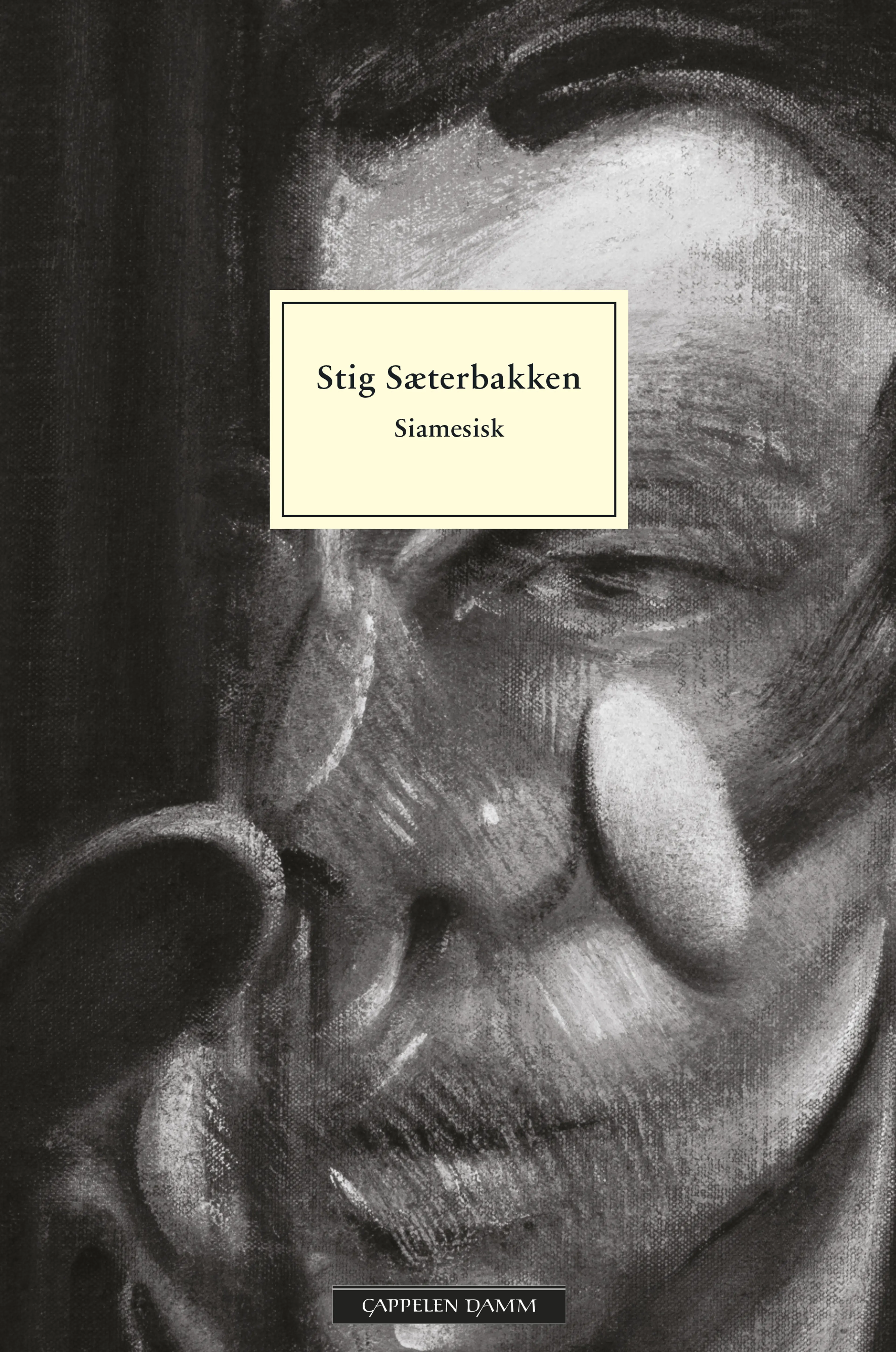 Omslag Siamesisk av Stig Sæterbakken (Heftet)