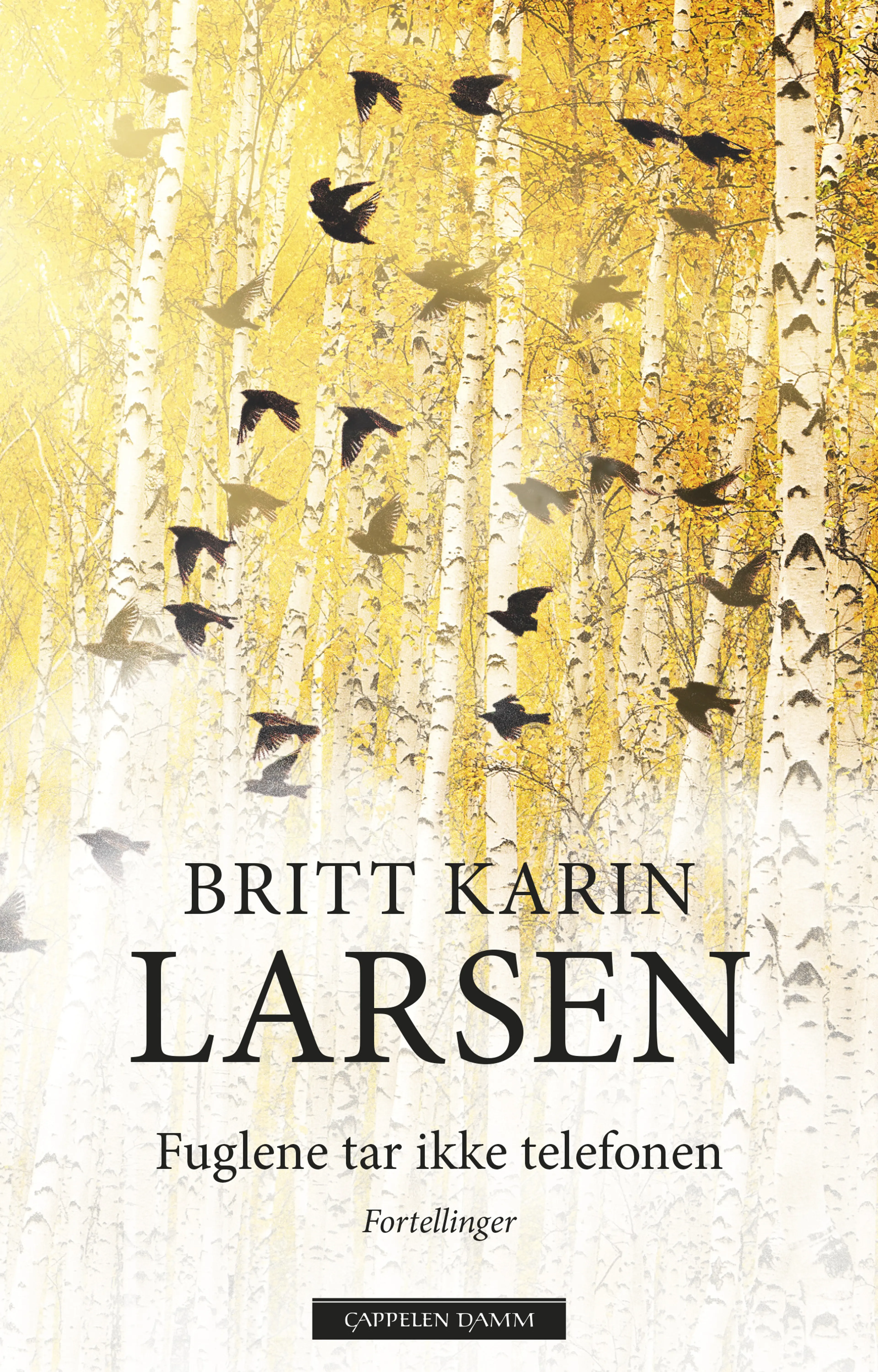 Omslag Fuglene tar ikke telefonen av Britt Karin Larsen (Ebok)