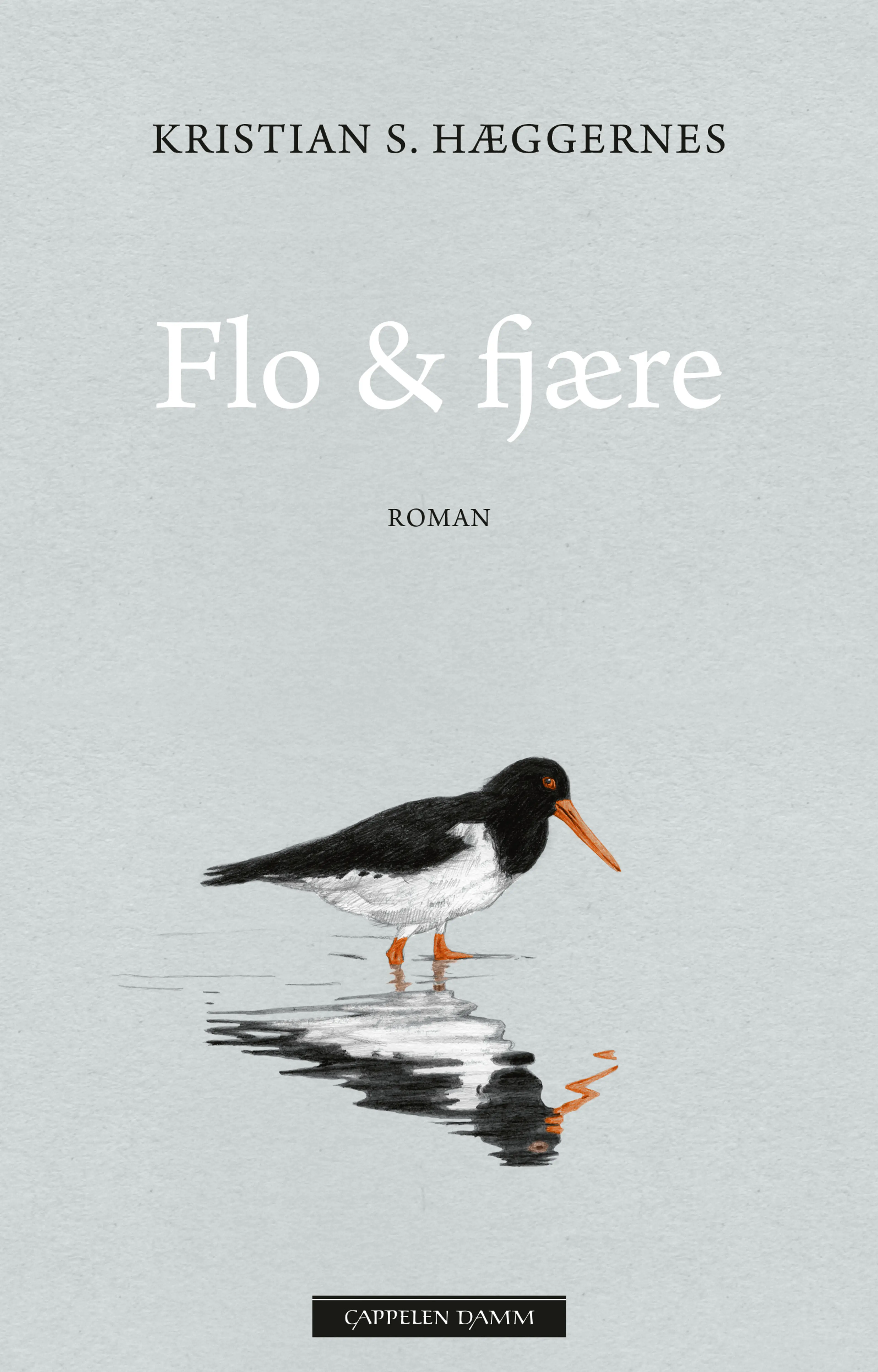 Omslag Flo & fjære av Kristian S. Hæggernes (Ebok)