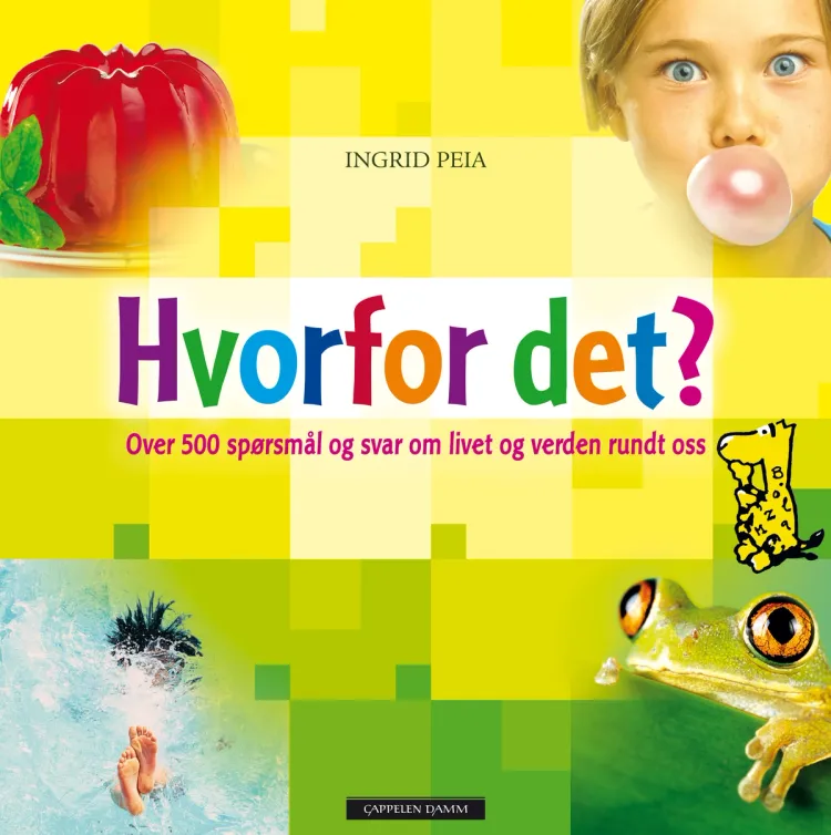 Omslag Hvorfor det? av Ingrid Peia (Innbundet)