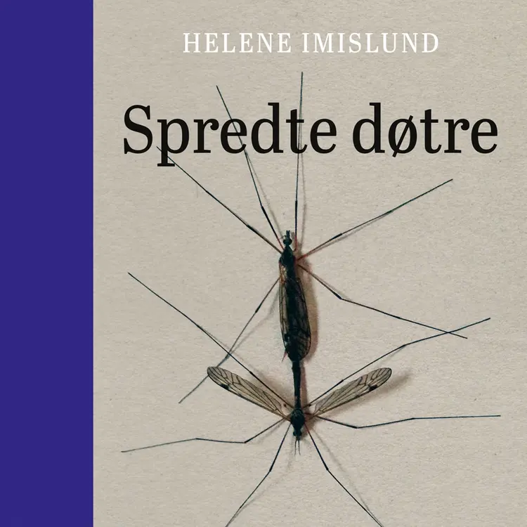 Omslag Spredte døtre av Helene Imislund (Nedlastbar lydbok)