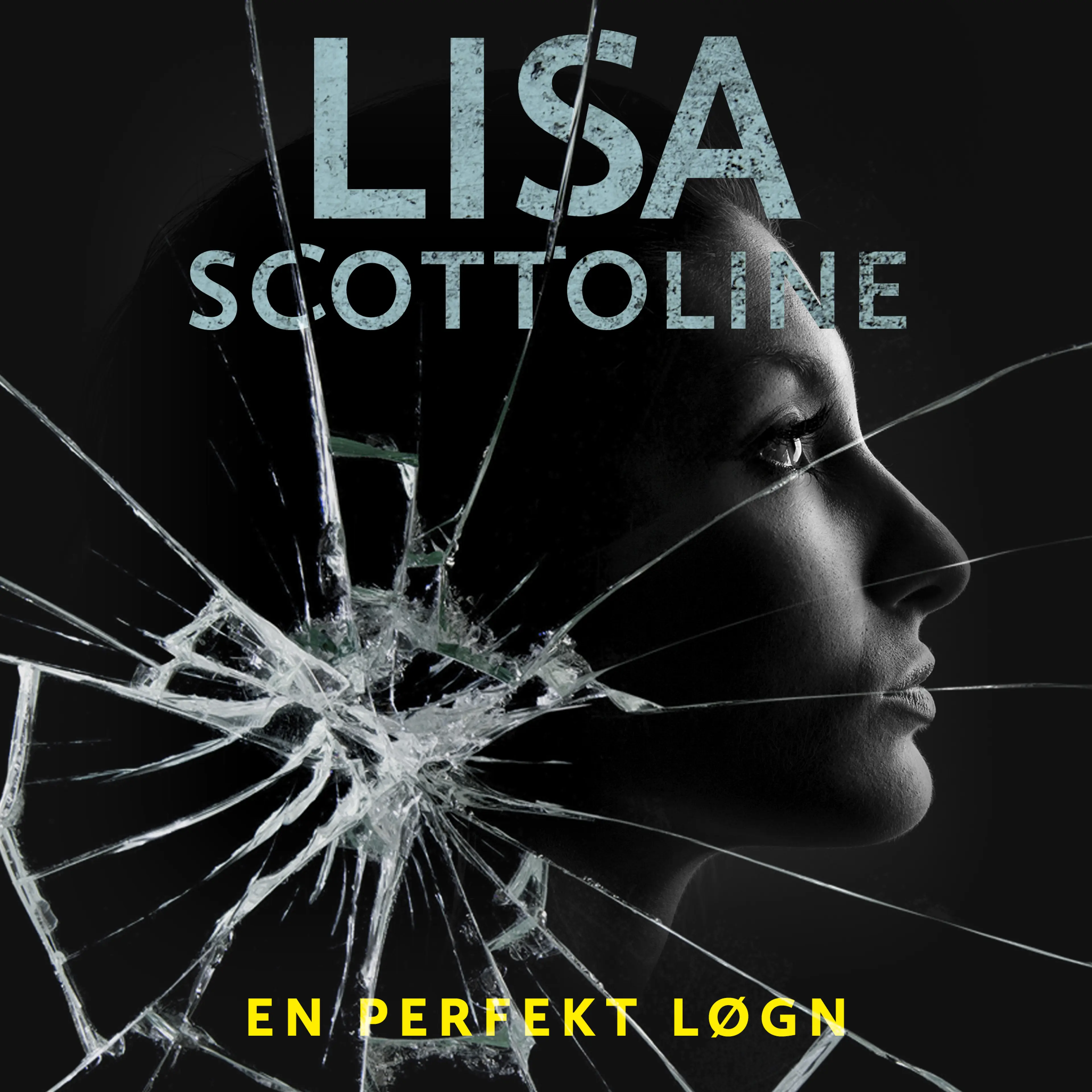 Omslag En perfekt løgn av Lisa Scottoline (Lydbok)