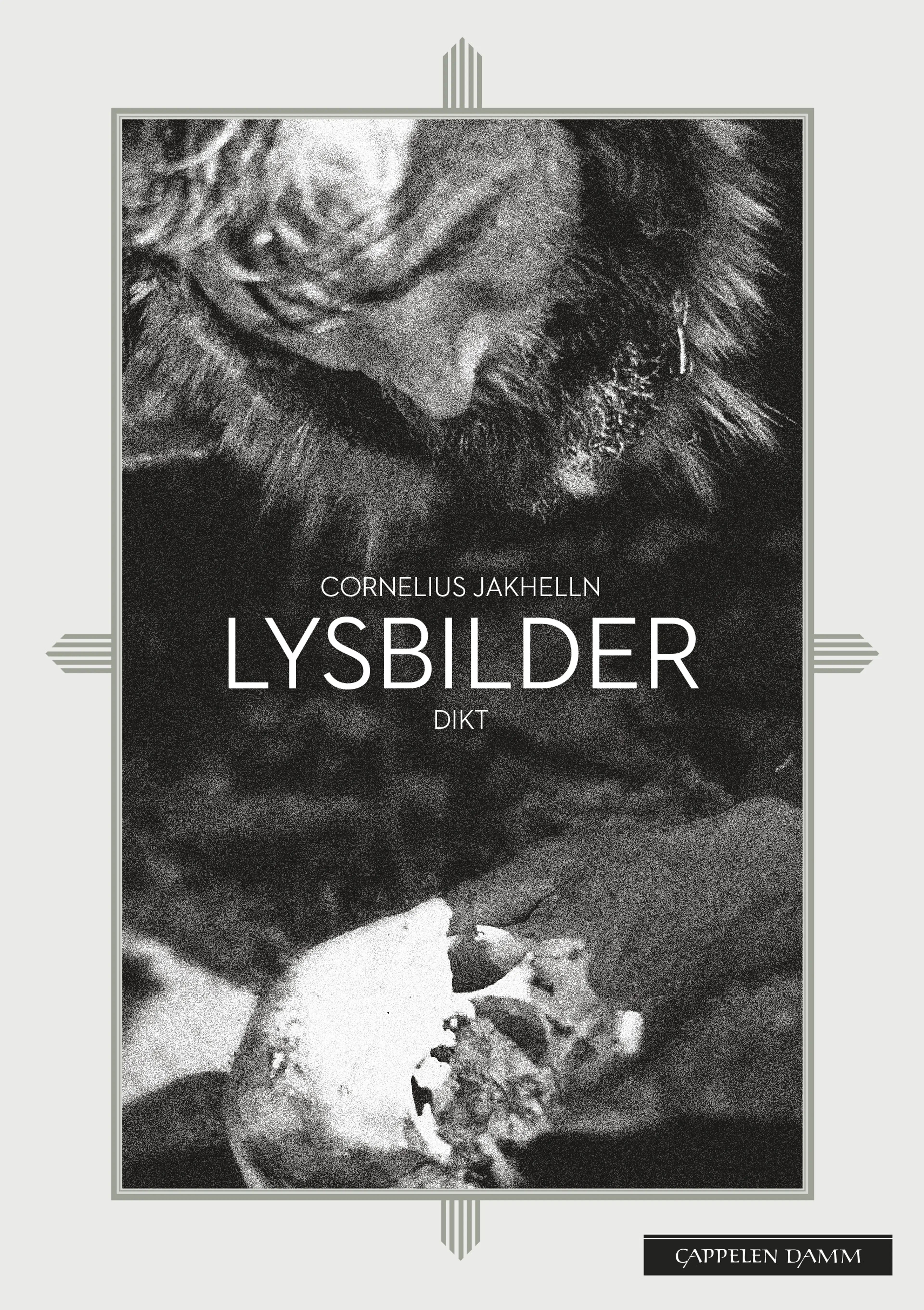 Omslag Lysbilder av Cornelius Jakhelln (Ebok)