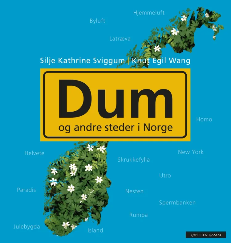 Omslag Dum av Silje Kathrine Sviggum og Knut Egil Wang (Heftet)