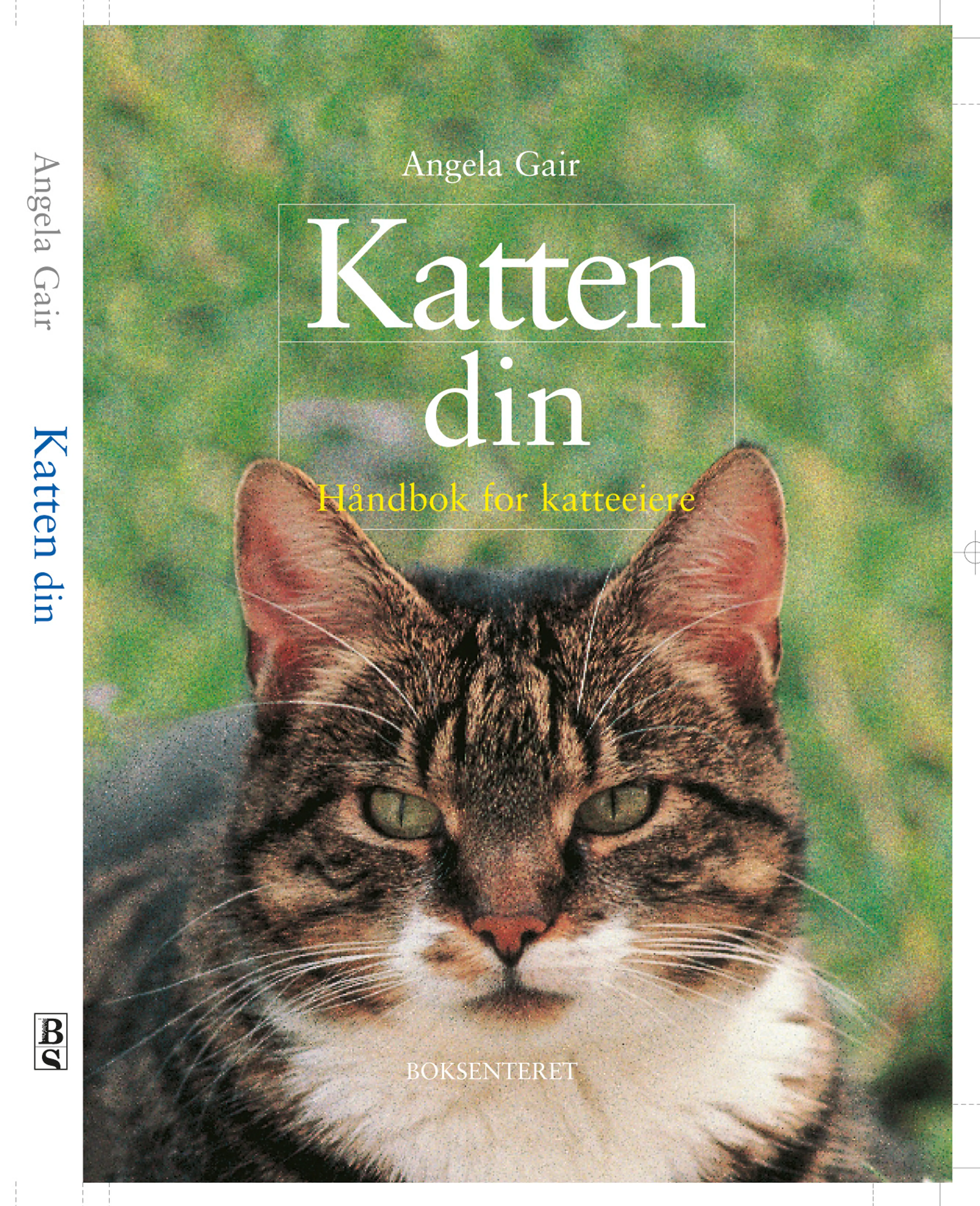 Omslag Katten din håndbok for katteeiere av Angela Gair (Innbundet)