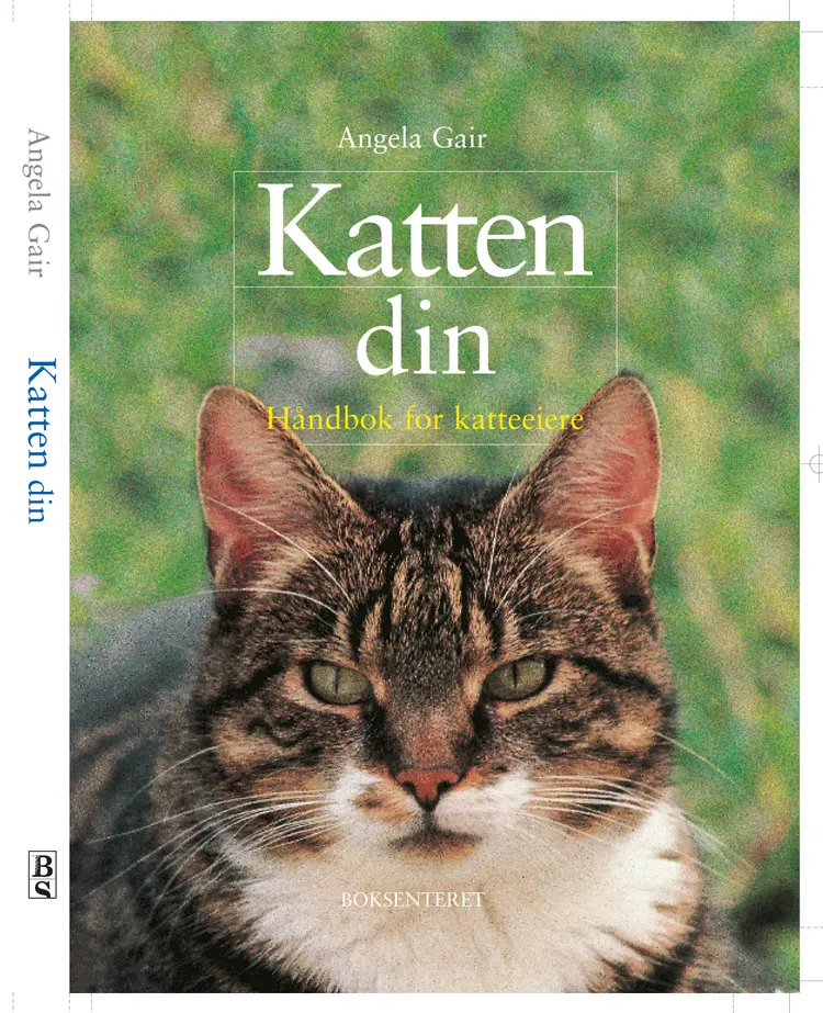 Omslag Katten din håndbok for katteeiere av Angela Gair (Innbundet)