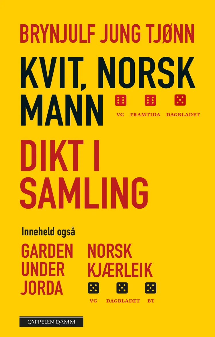 Omslag Dikt i samling (Kvit, norsk mann) av Brynjulf Jung Tjønn (Heftet)