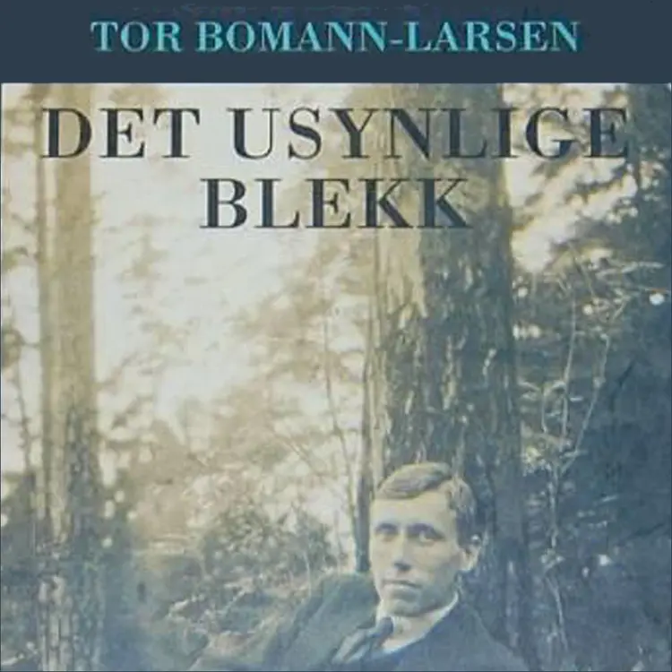 Omslag Det usynlige blekk av Tor Bomann-Larsen (Lydbok)