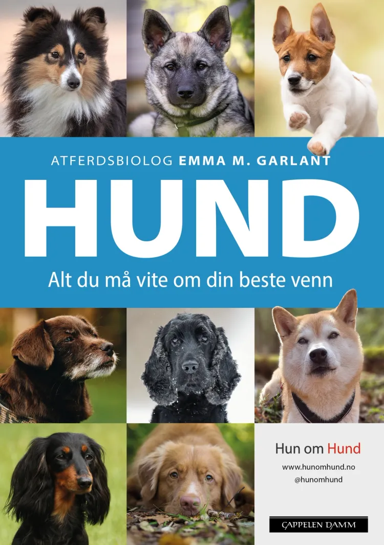 Omslag HUND av Emma M. Garlant (Innbundet)