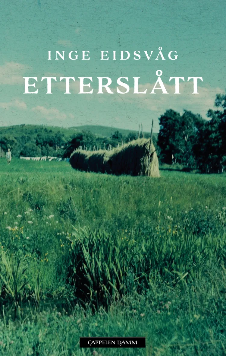 Omslag Etterslått av Inge Eidsvåg (Ebok)