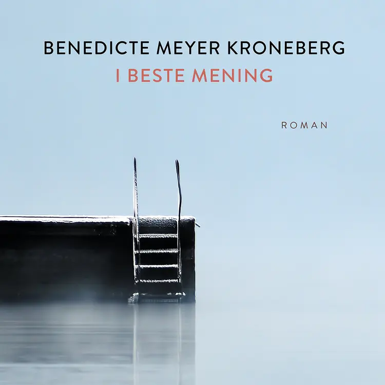 Omslag I beste mening av Benedicte Meyer Kroneberg (Lydbok)