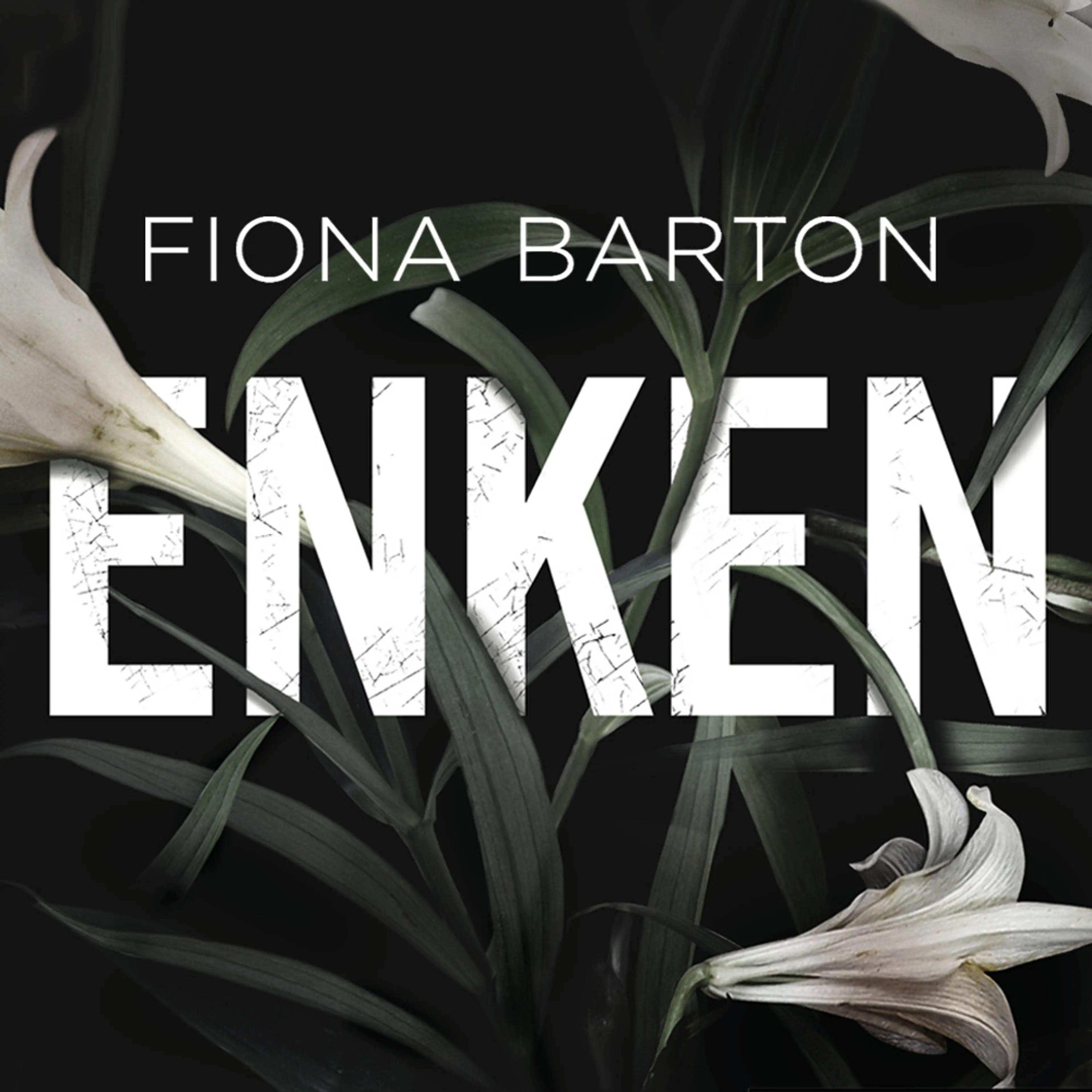 Omslag Enken av Fiona Barton (Lydbok)