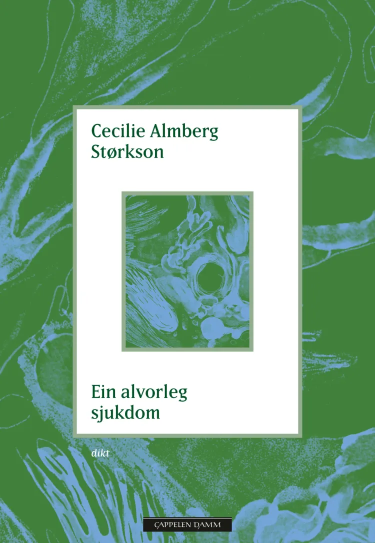 Omslag Ein alvorleg sjukdom av Cecilie Almberg Størkson (Ebok)