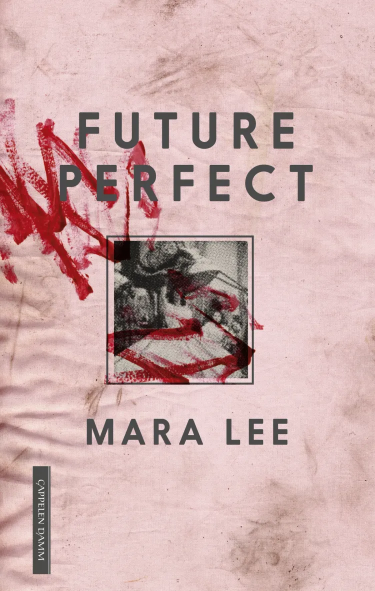 Omslag Future Perfect av Mara Lee (Ebok)