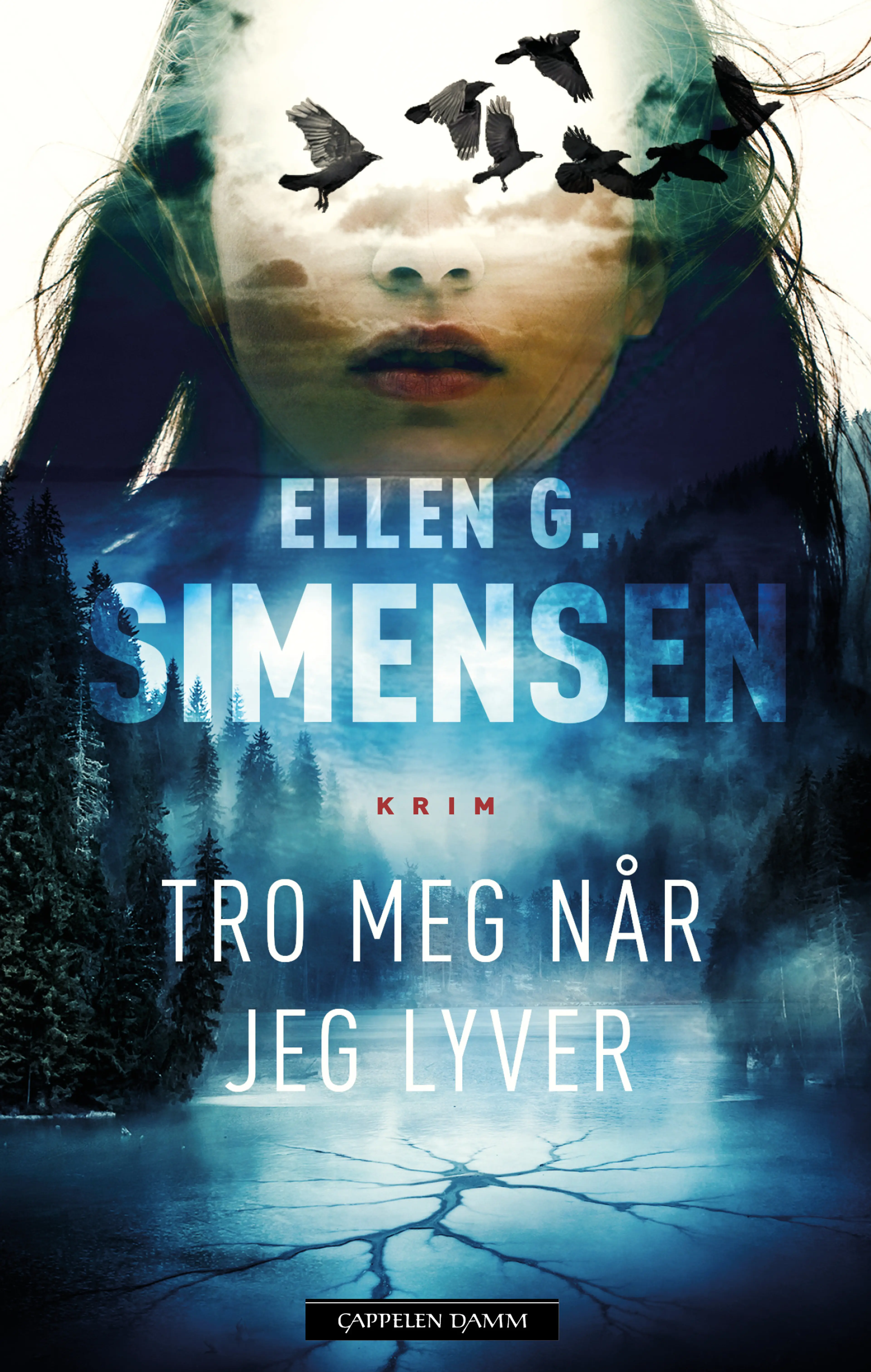 Omslag Tro meg når jeg lyver av Ellen G. Simensen (Innbundet)