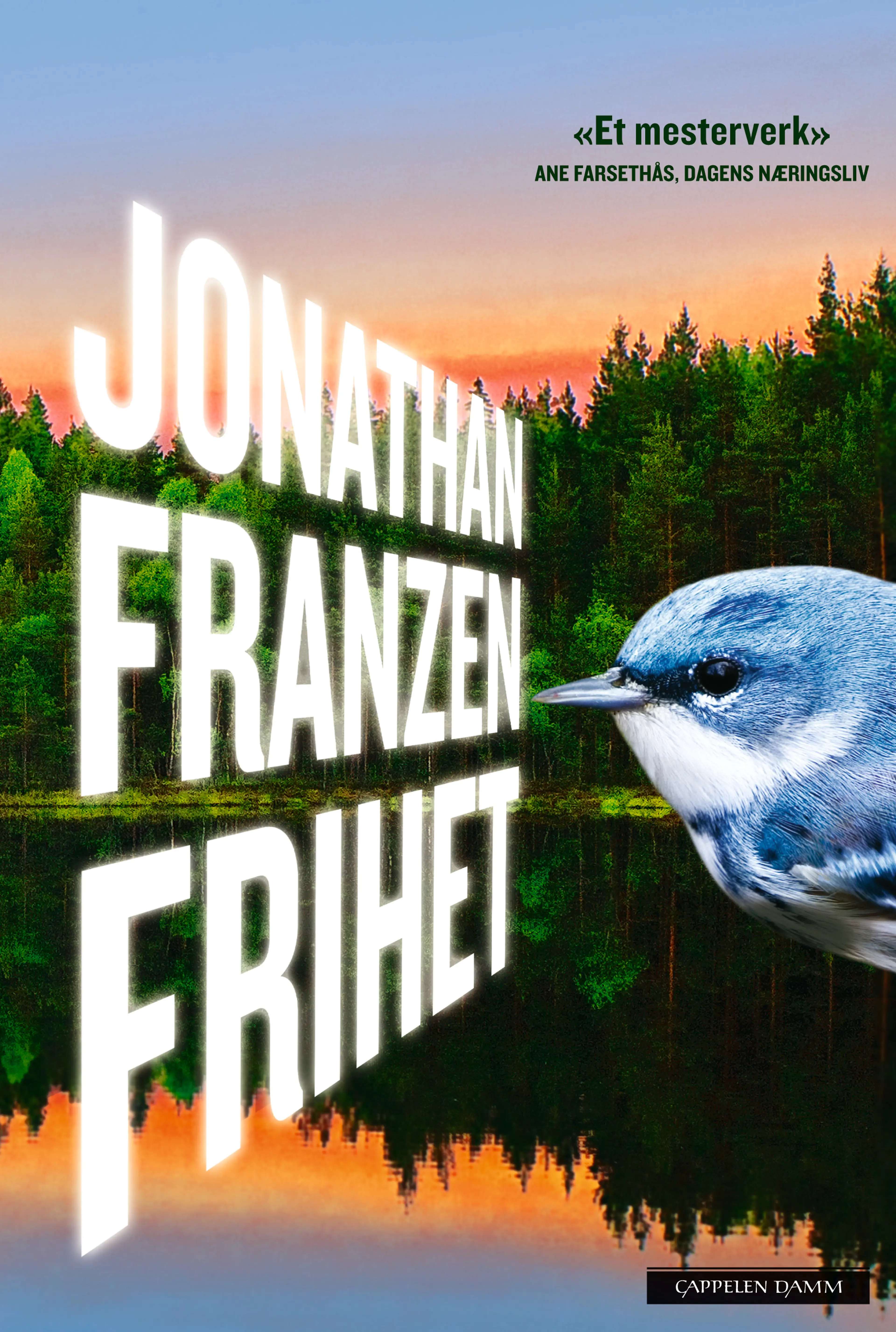 Omslag Frihet av Jonathan Franzen (Ebok)