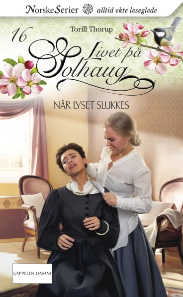 Omslag Når lyset slukkes av Torill Thorup (Heftet)