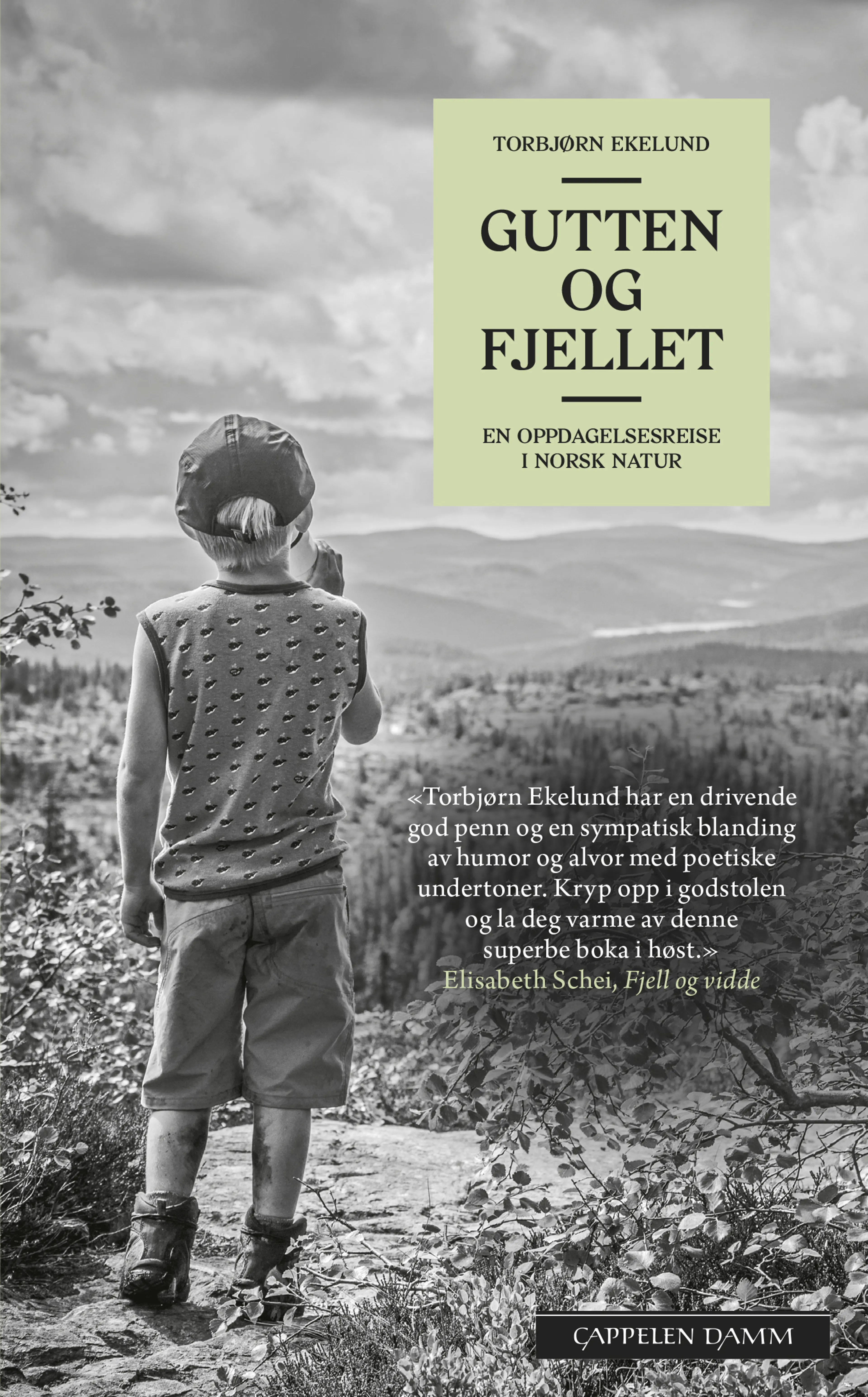 Omslag Gutten og fjellet av Torbjørn Ekelund (Heftet)
