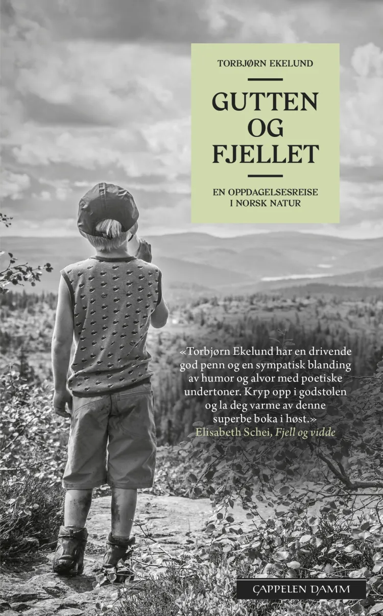Omslag Gutten og fjellet av Torbjørn Ekelund (Heftet)