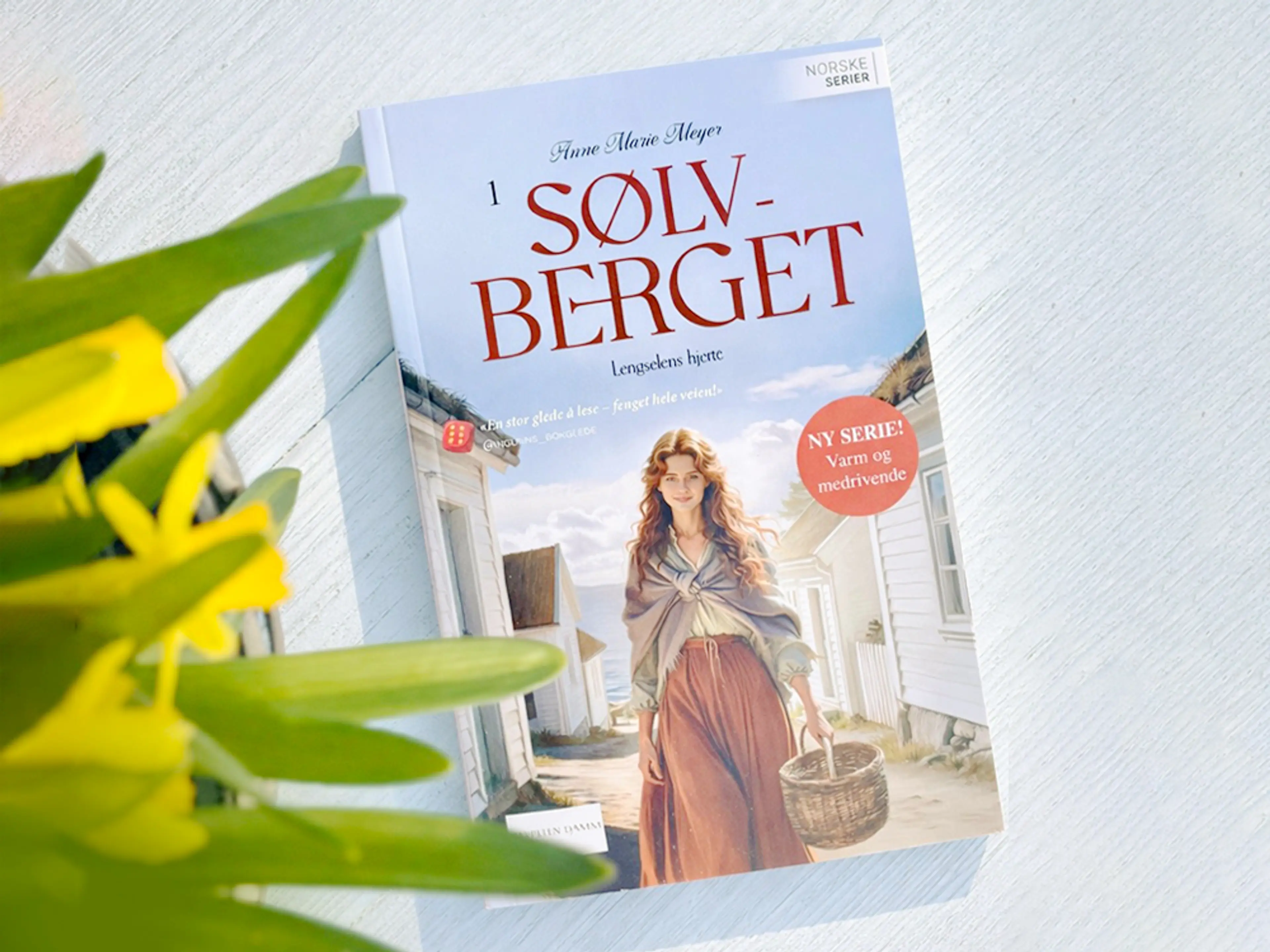 Sølvberget 1 av Anne Marie Meyer
