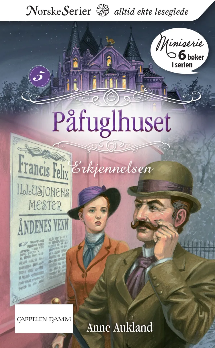 Omslag Erkjennelsen av Anne Aukland (Ebok)