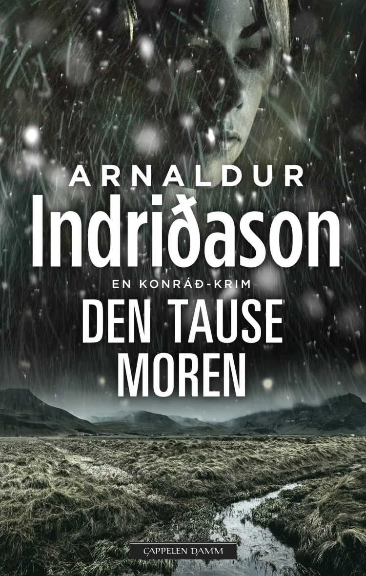 Omslag Den tause moren av Arnaldur Indridason (Heftet)