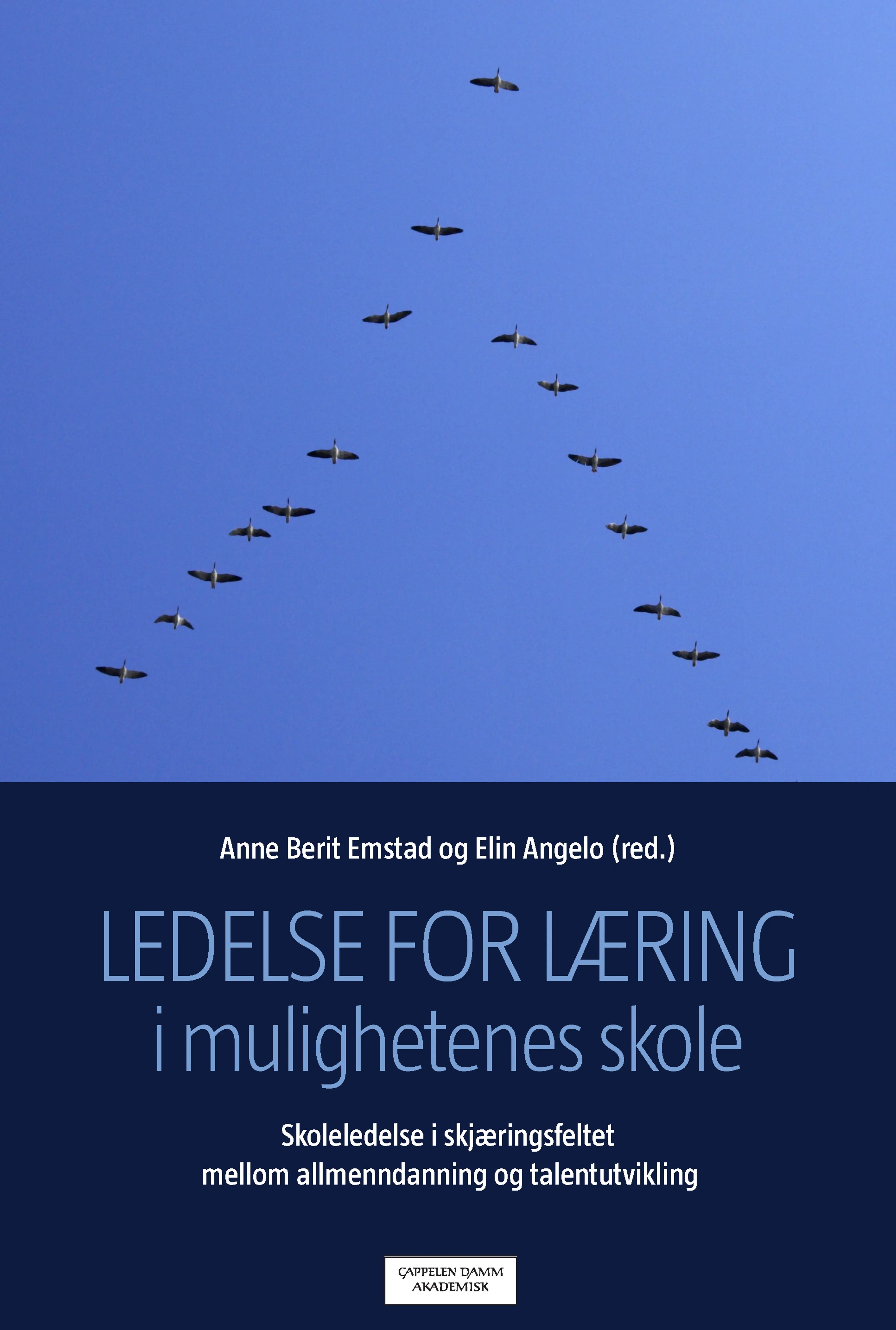 Omslag Ledelse for læring i mulighetenes skole av Anne Berit Emstad og Elin Angelo (red.) (Heftet)