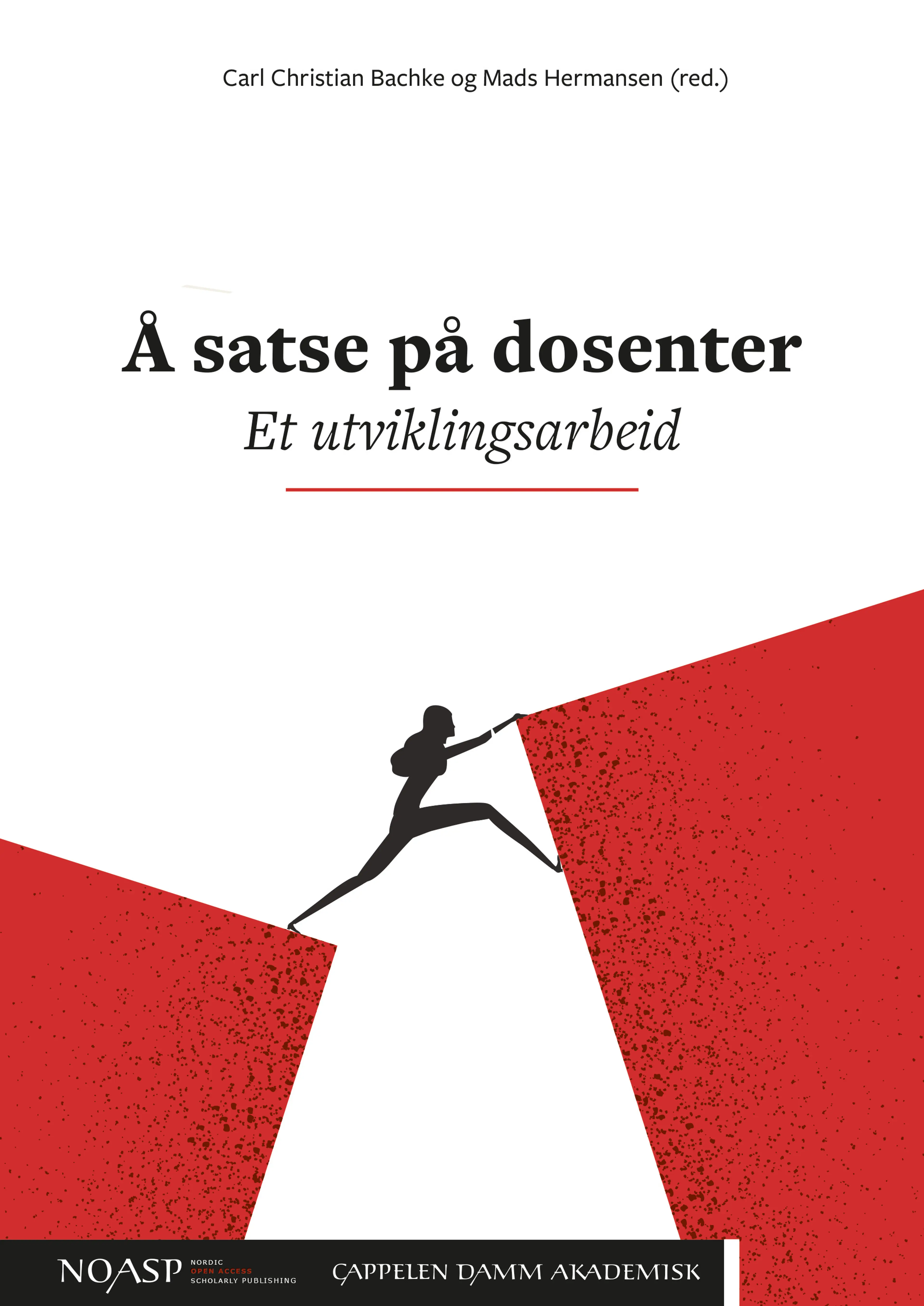 Omslag Å satse på dosenter av Carl Christian Bachke og Mads Hermansen (red.) (Ebok)