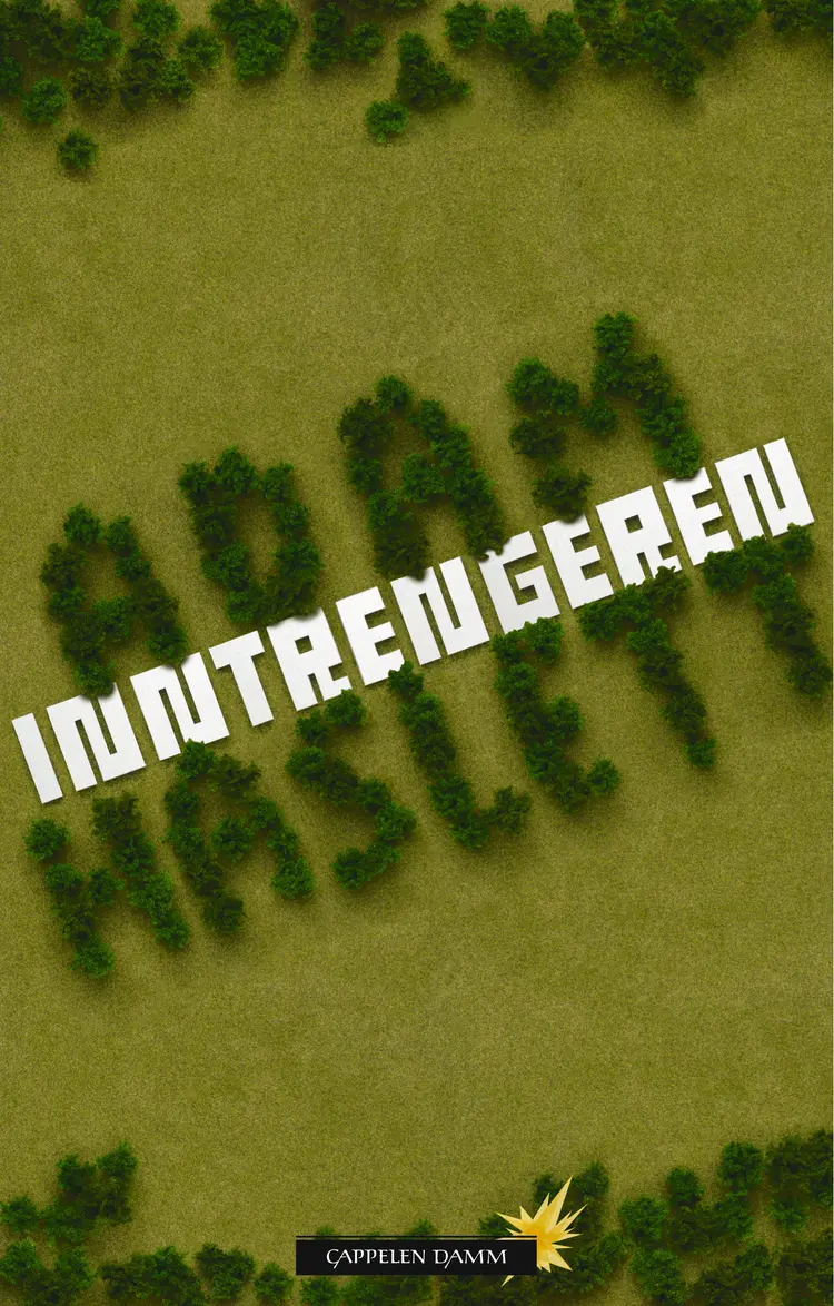 Omslag Inntrengeren av Adam Haslett (Innbundet)