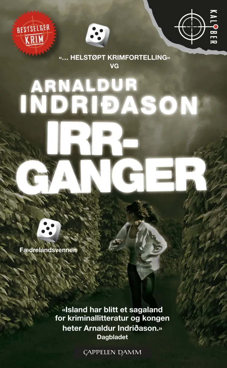 Omslag Irrganger av Arnaldur Indridason (Heftet)