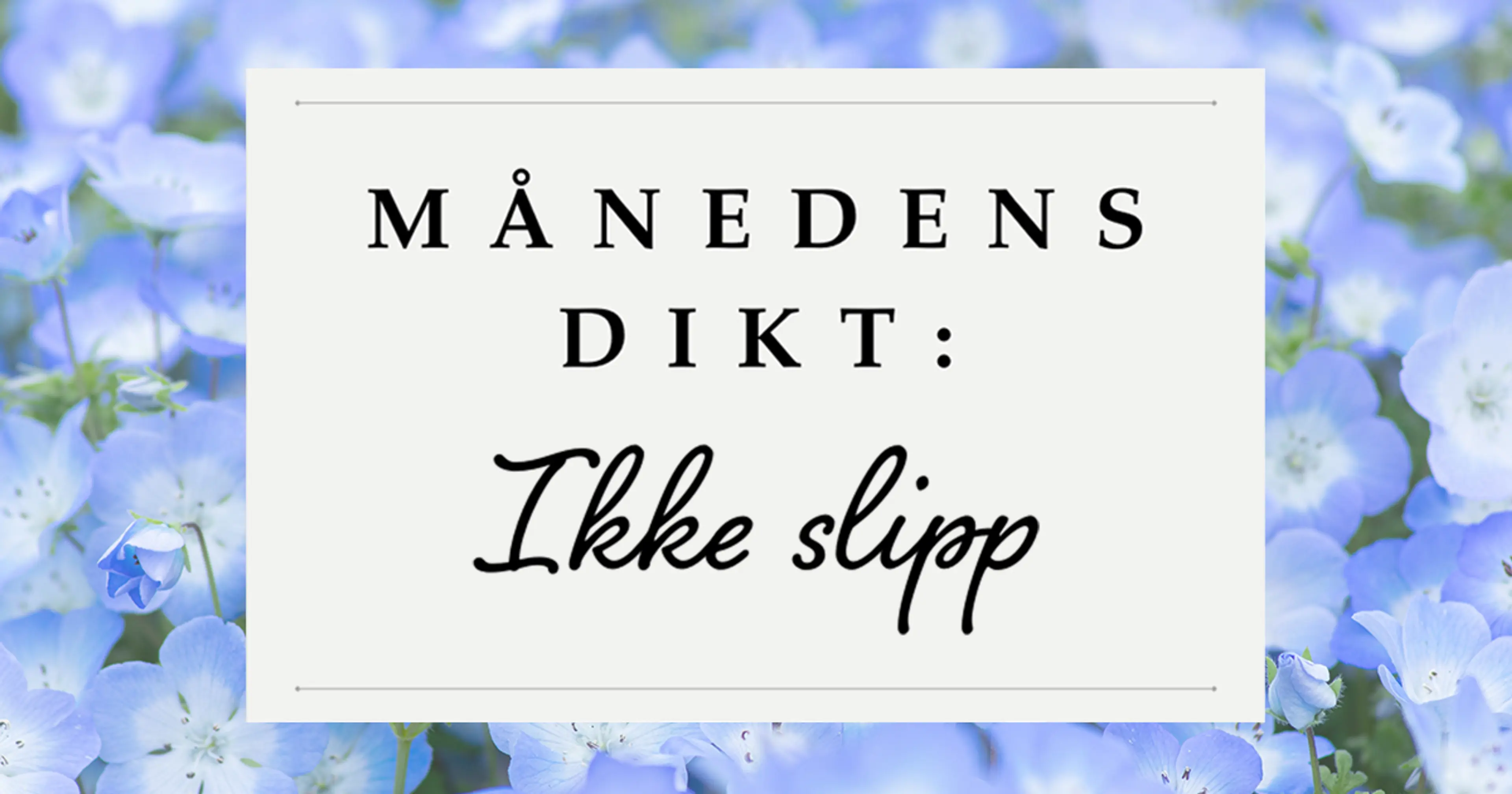 Bakgrunn med blå markblomster og teksten månedens dikt: Ikke slipp