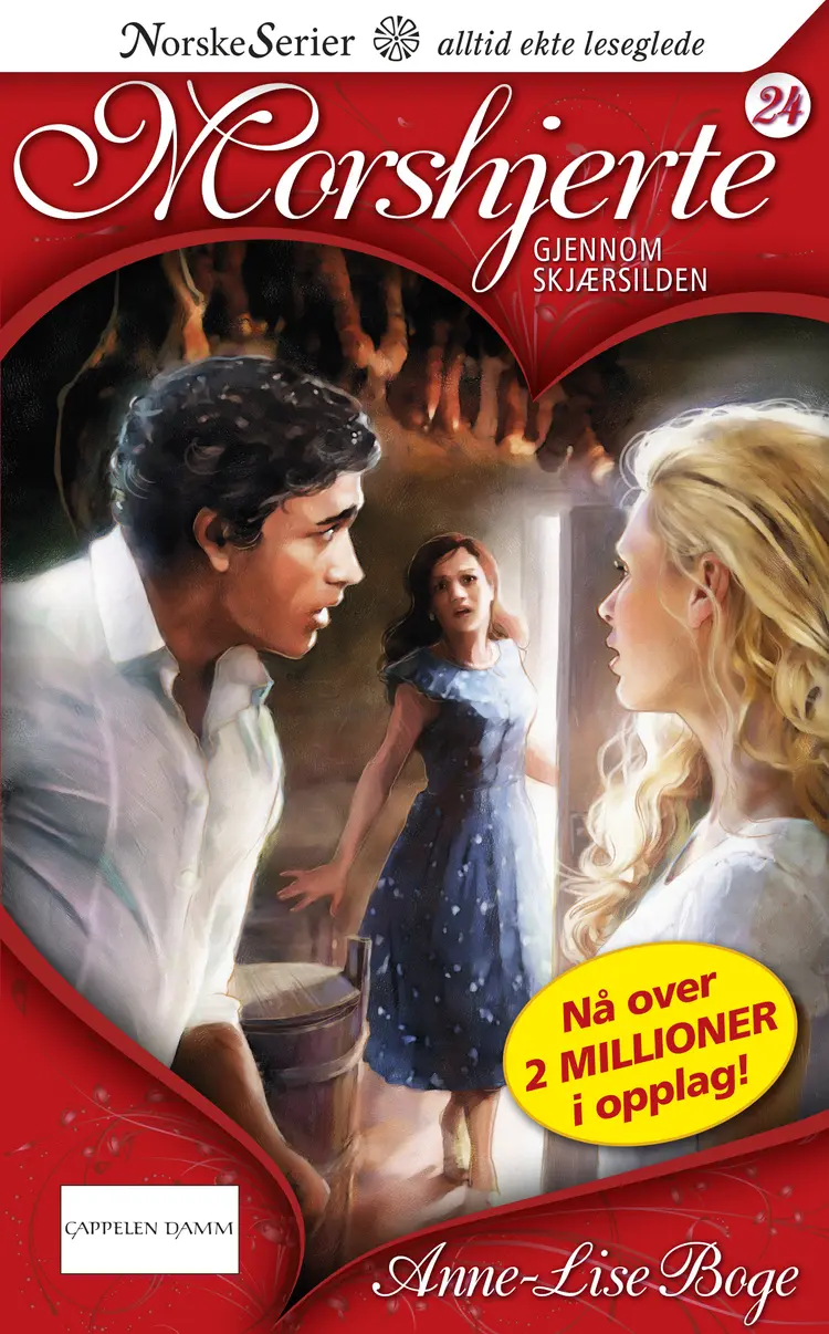 Omslag Gjennom skjærsilden av Anne-Lise Boge (Ebok)